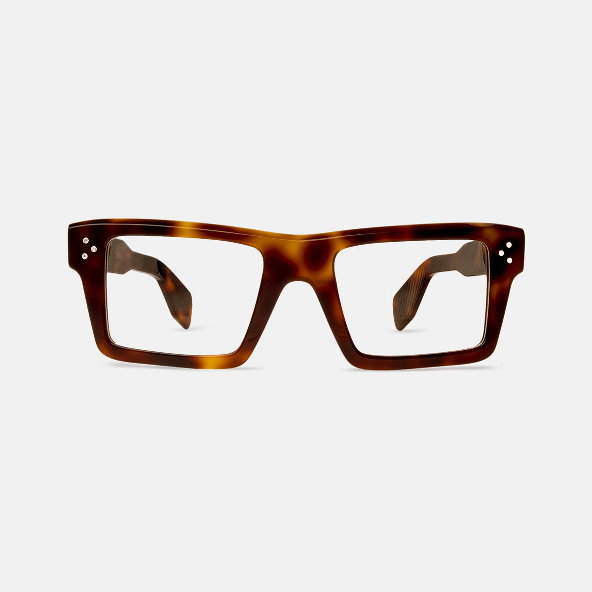 Koln Tortoise