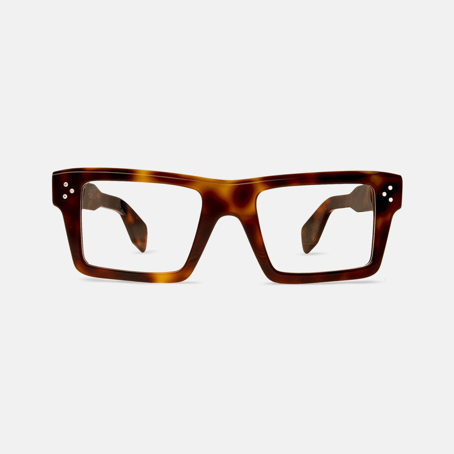 Koln Tortoise