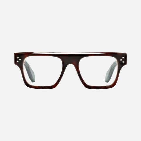 Suri Tortoise Carnival