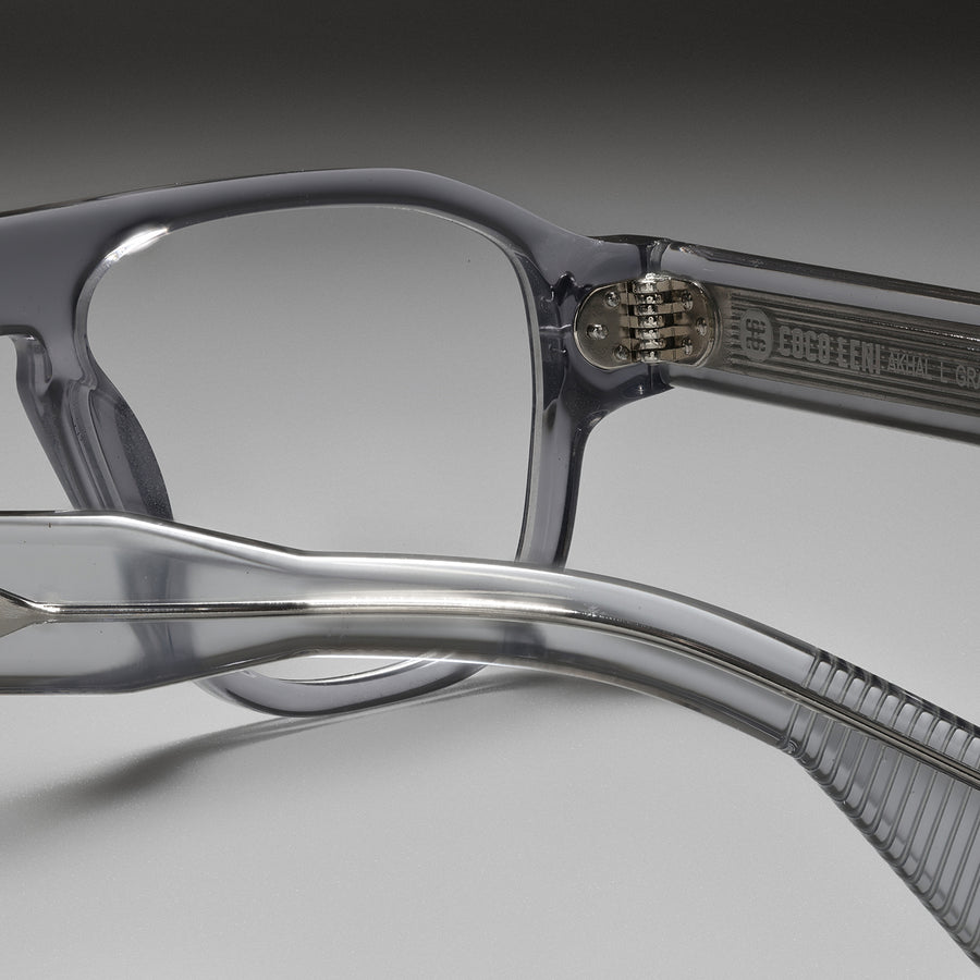 Akhal Gray close-up 2