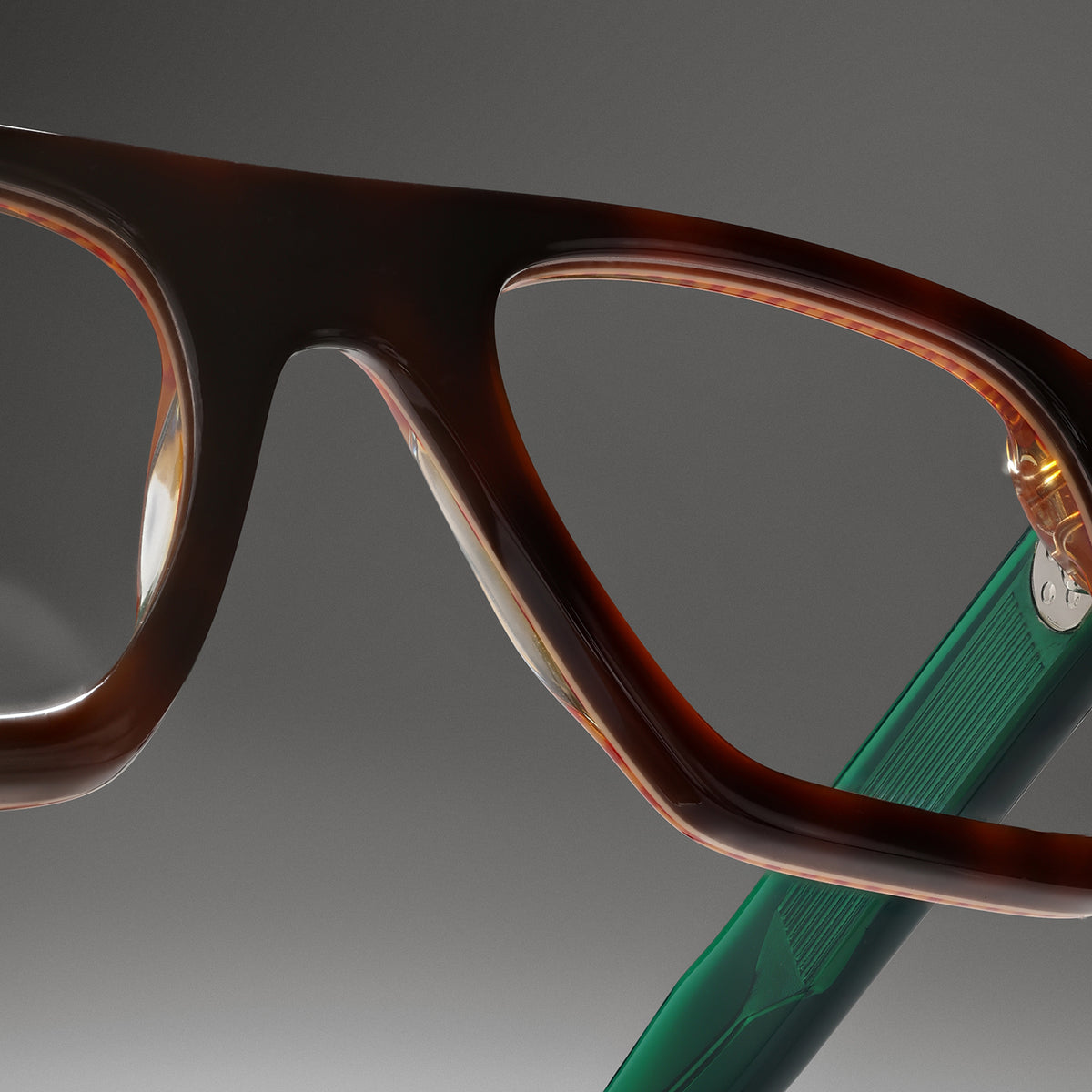 Suri Tortoise Carnival close-up 1