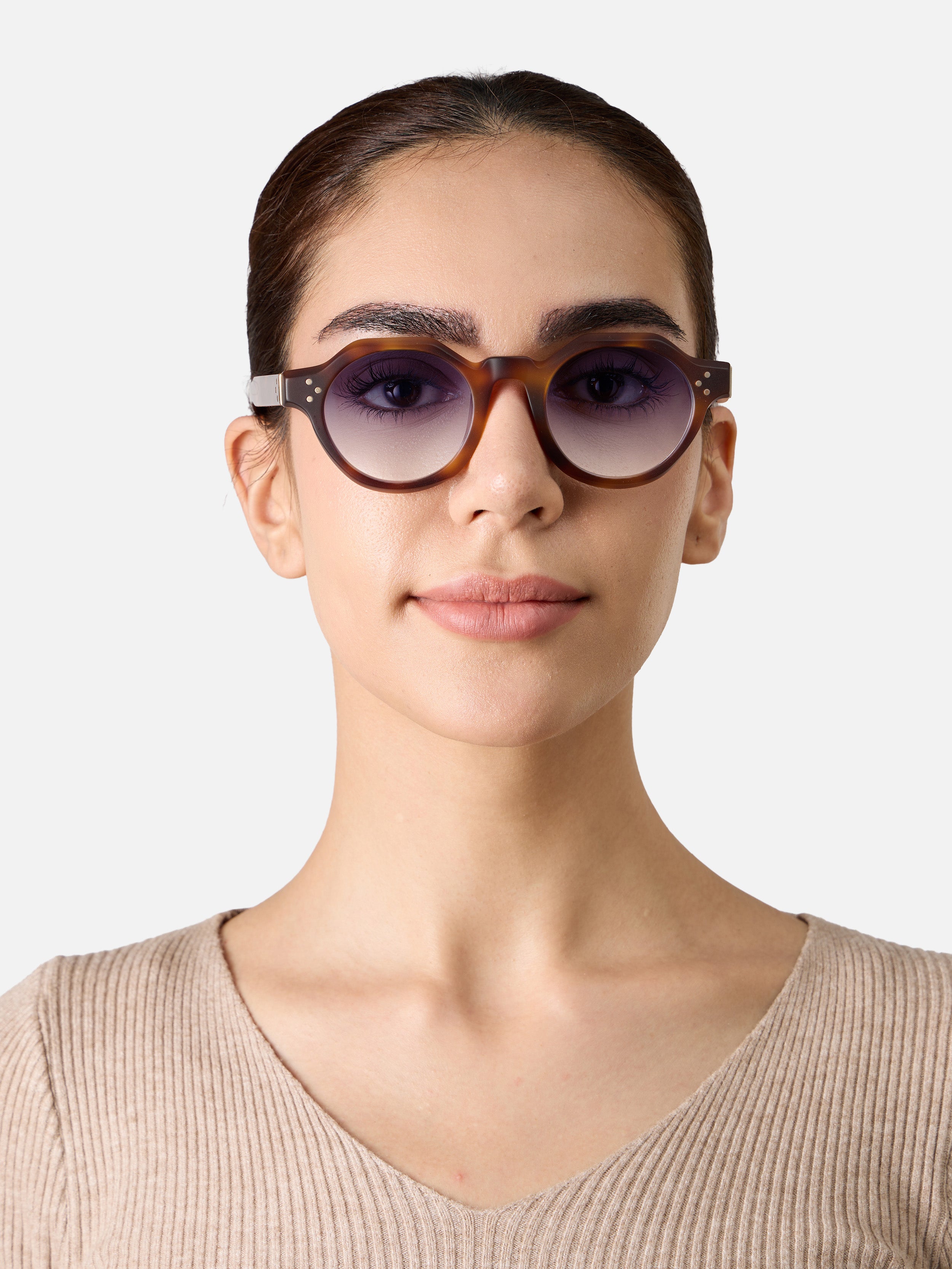 Paradise Tortoise Structura