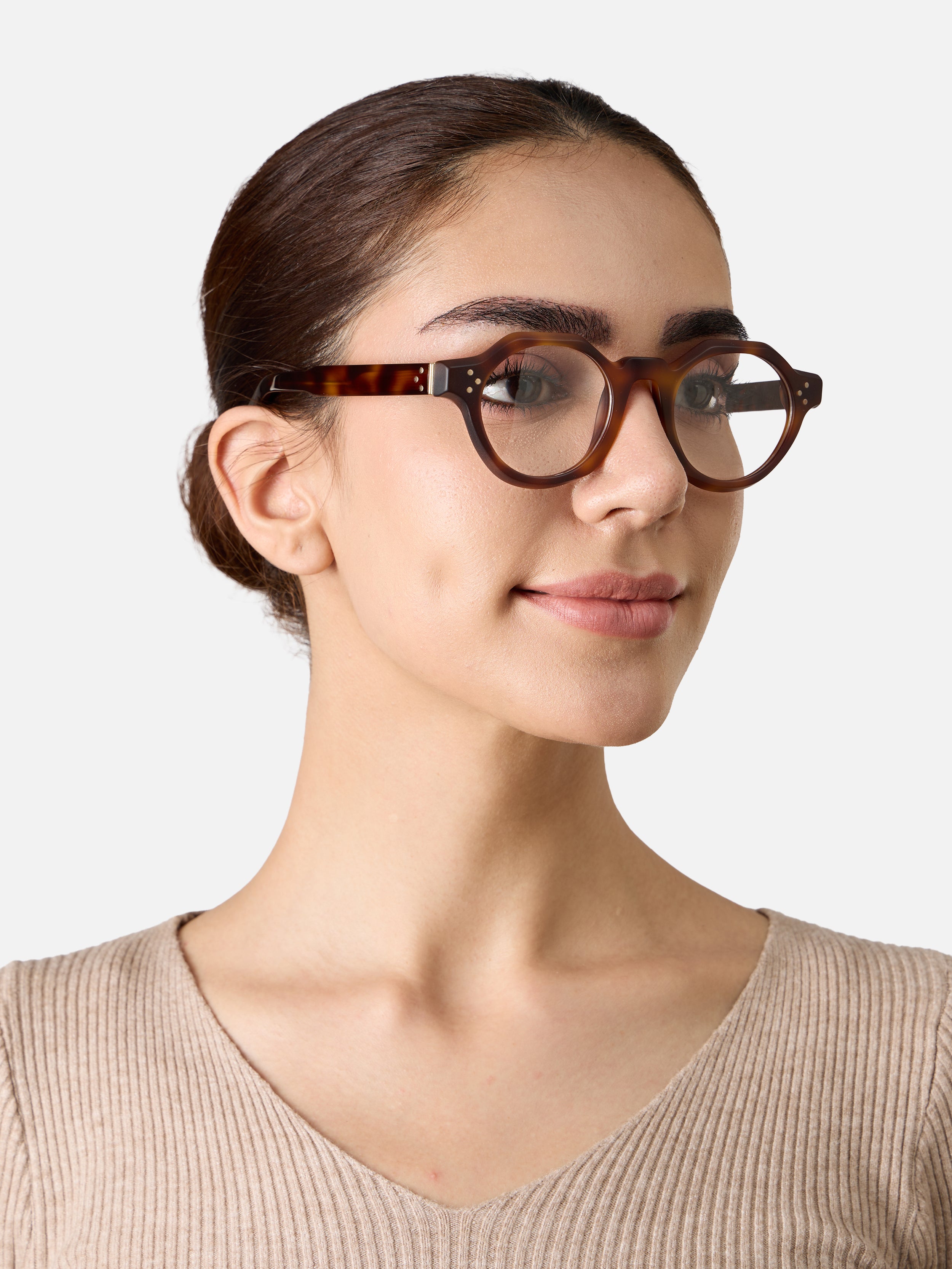 Paradise Tortoise Structura