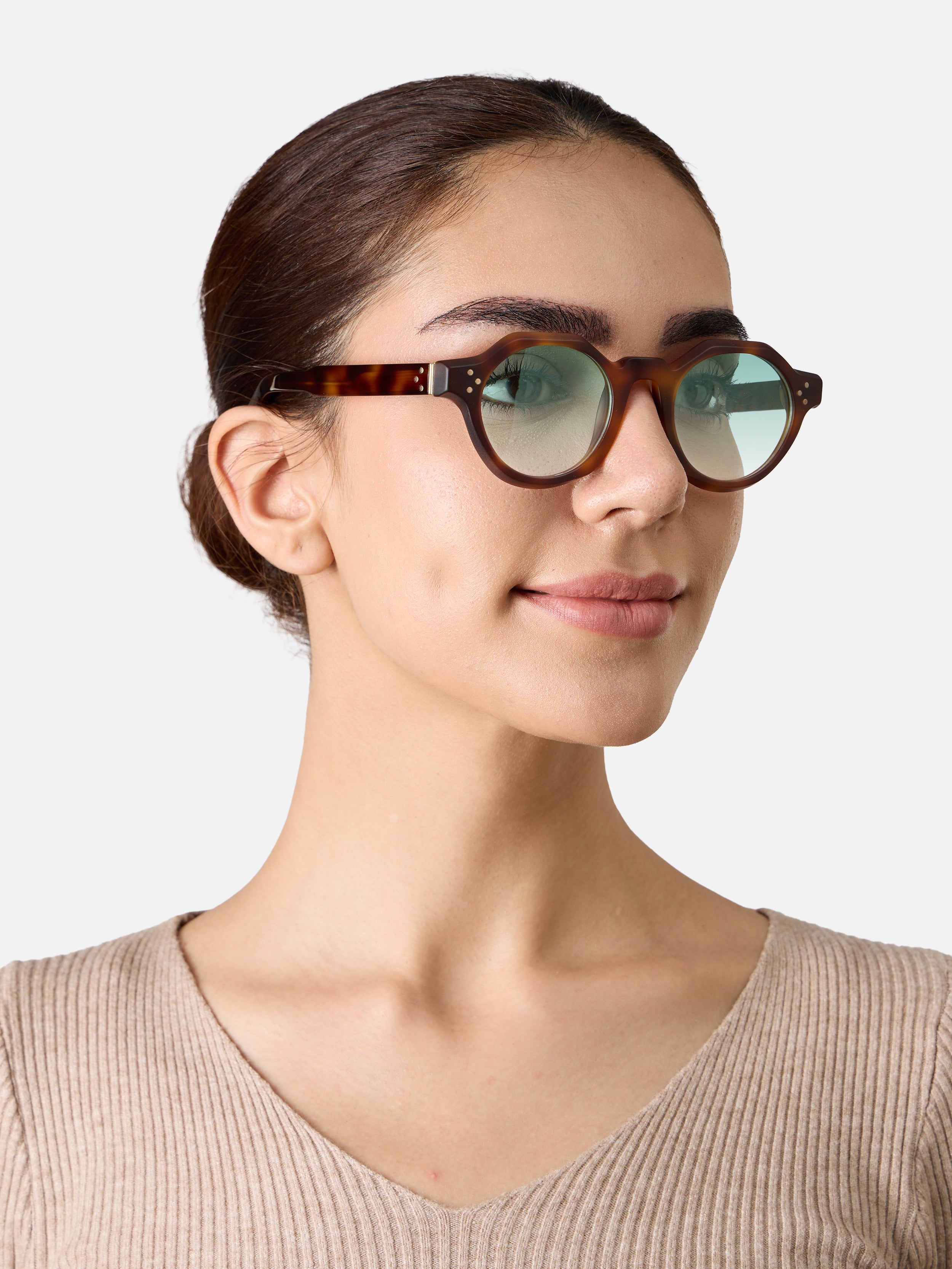 Paradise Tortoise Structura