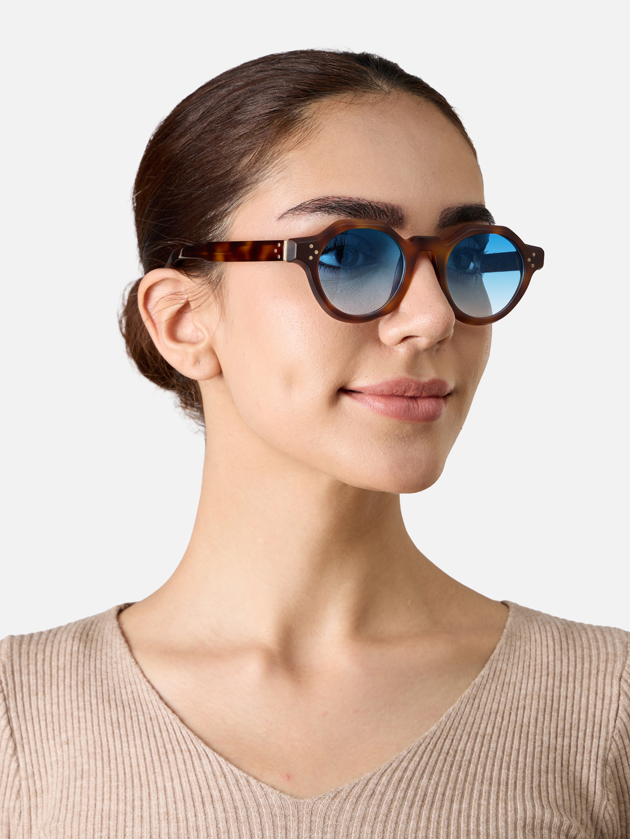 Paradise Tortoise Structura