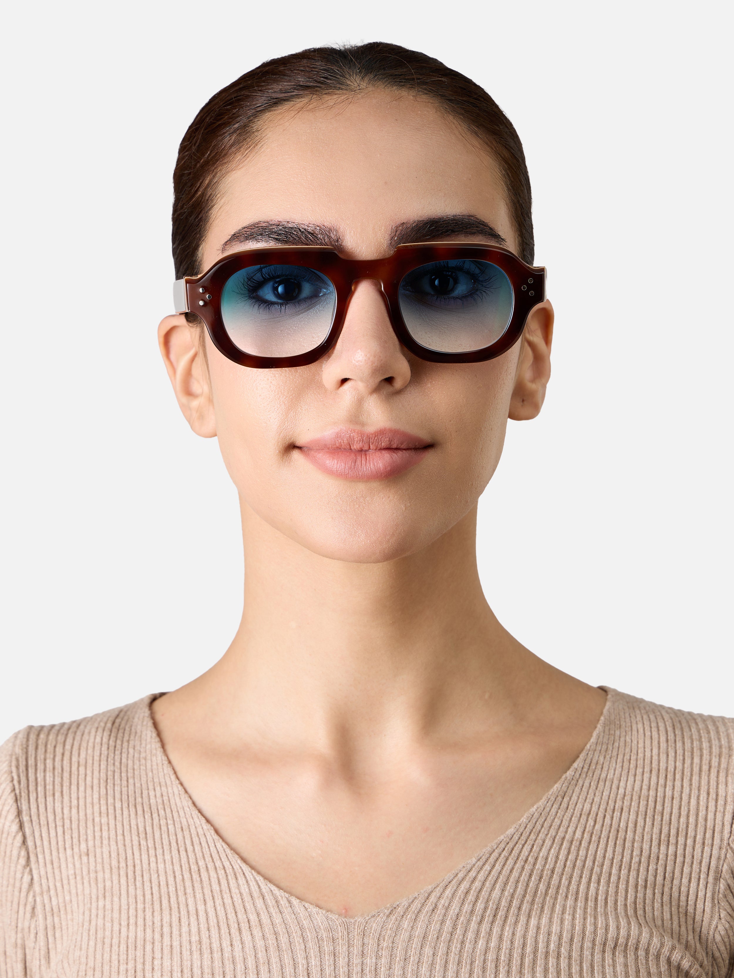 Hermann Tortoise Carnival