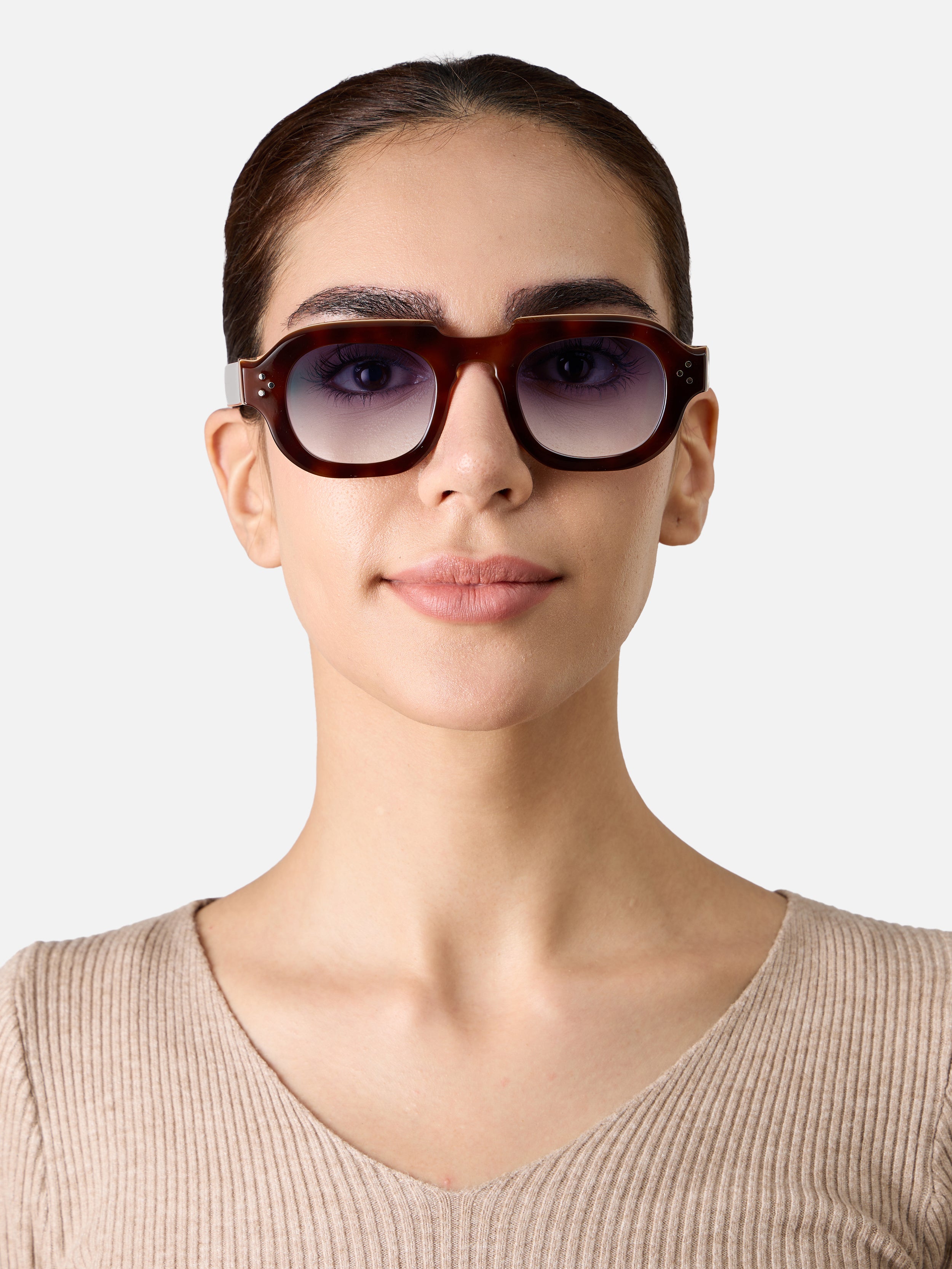 Hermann Tortoise Carnival