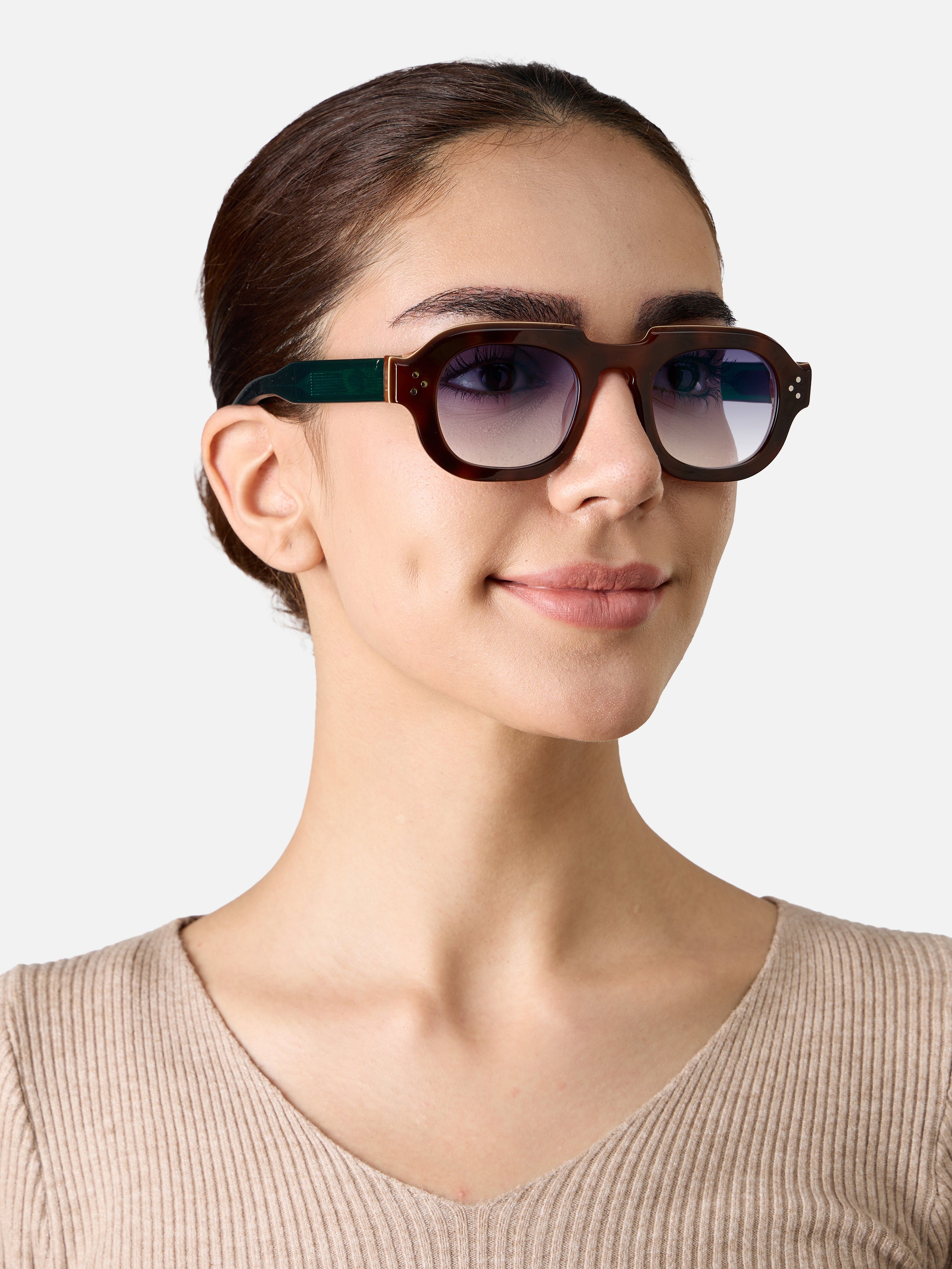 Hermann Tortoise Carnival