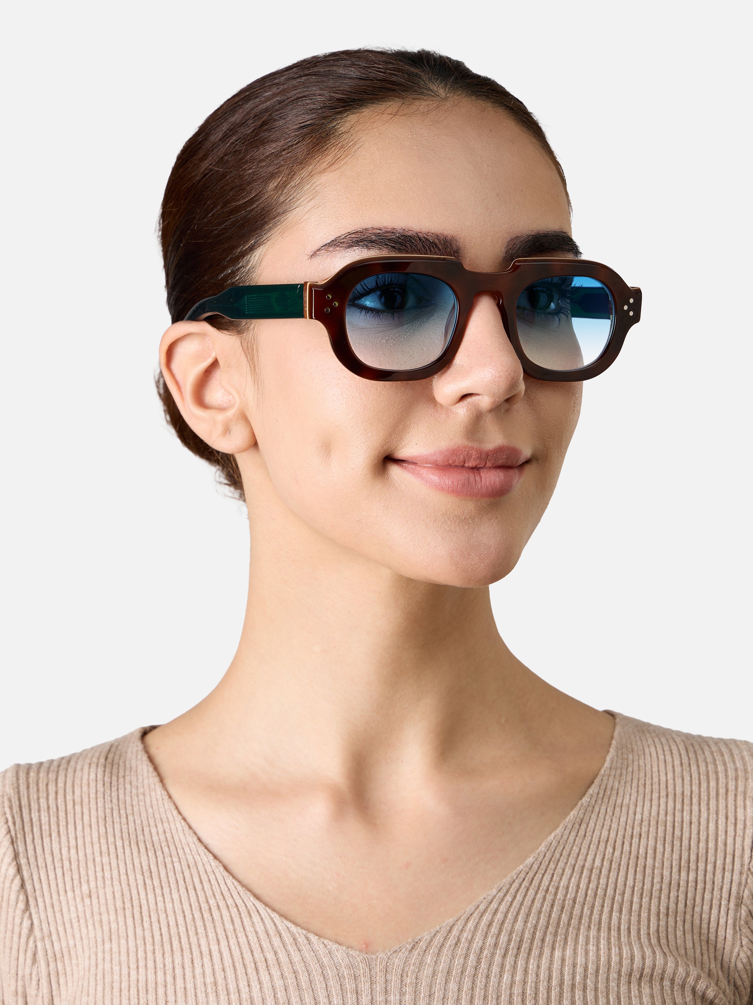 Hermann Tortoise Carnival