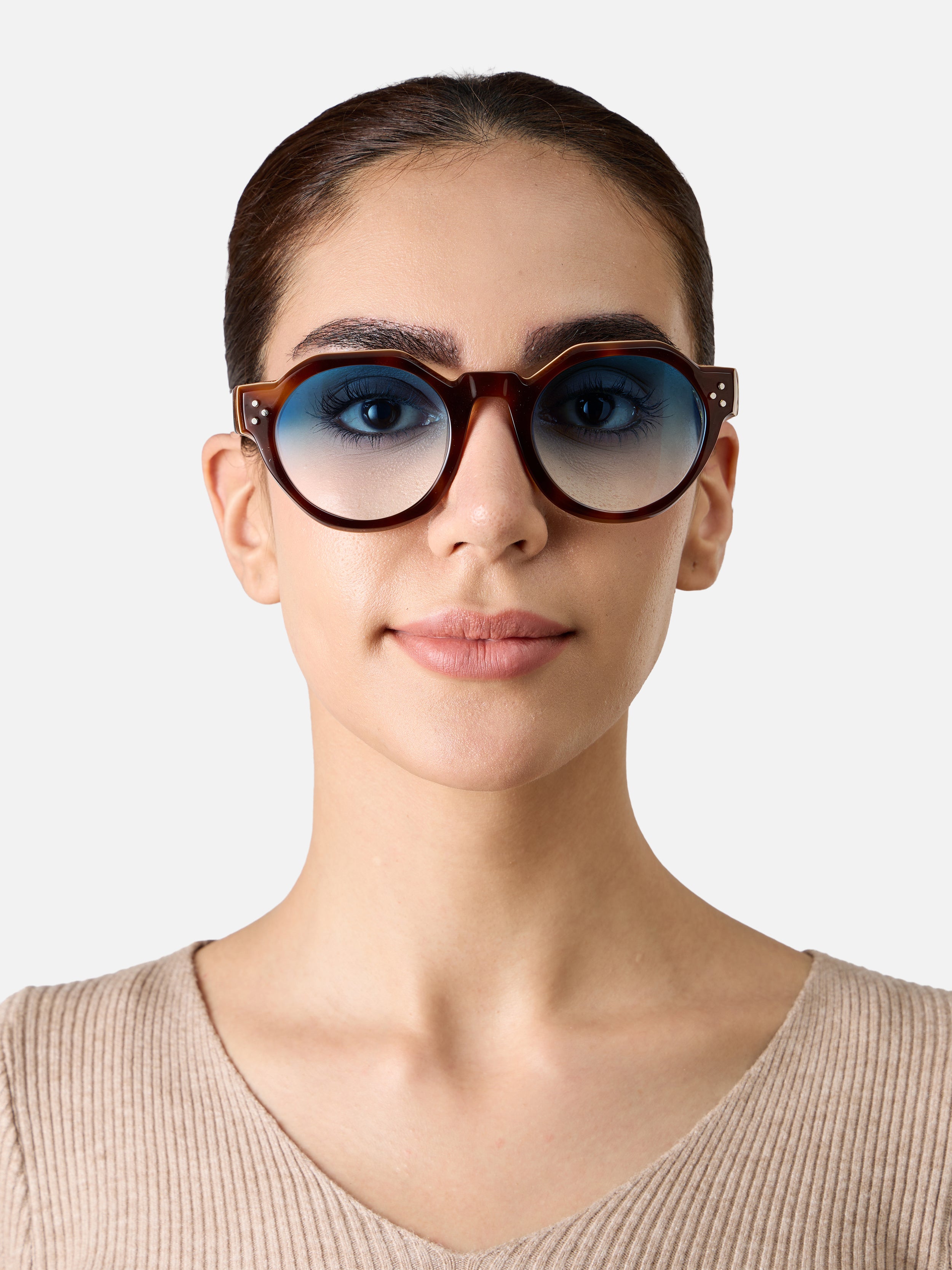 Paradise Tortoise Carnival