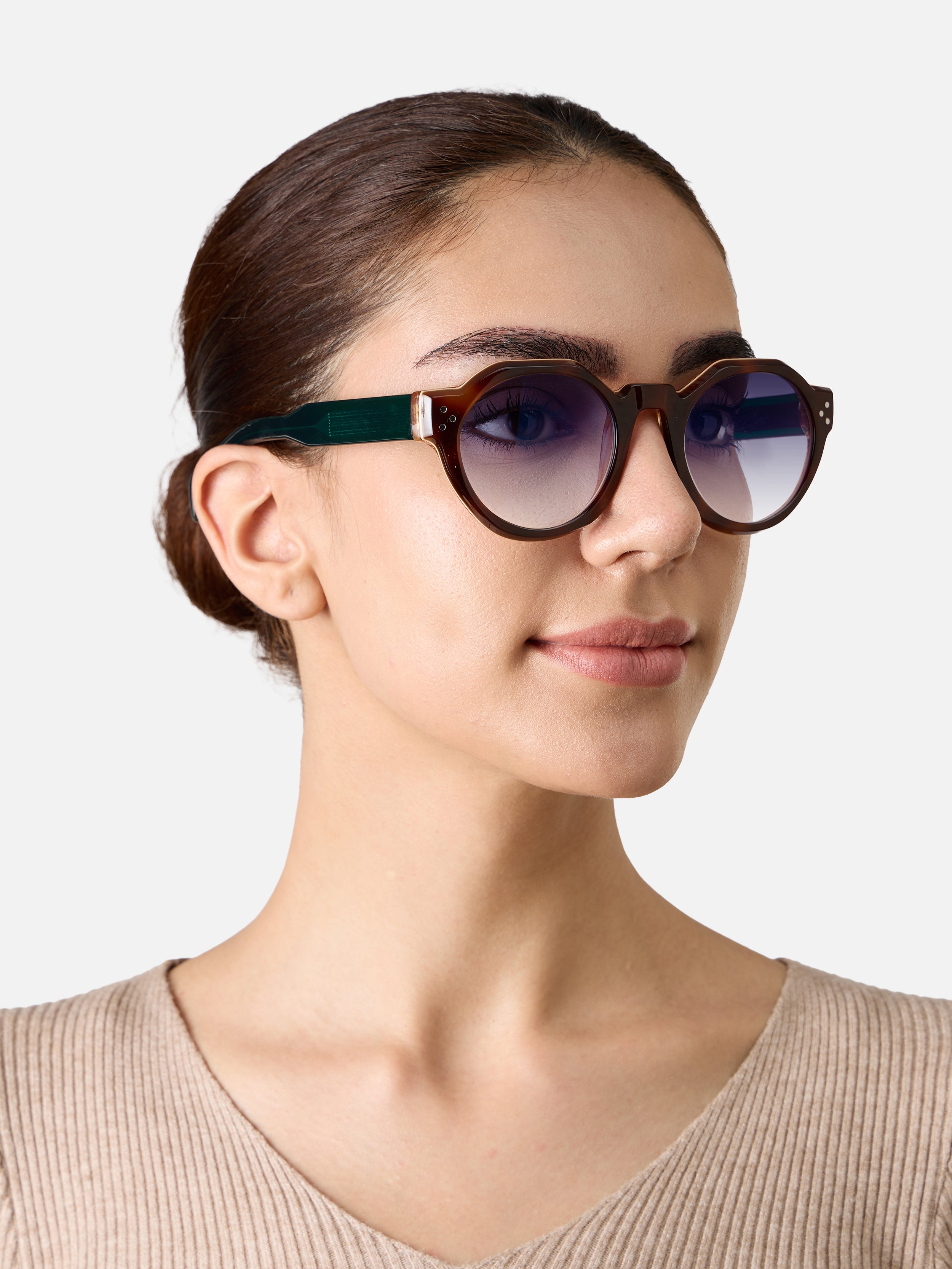 Paradise Tortoise Carnival