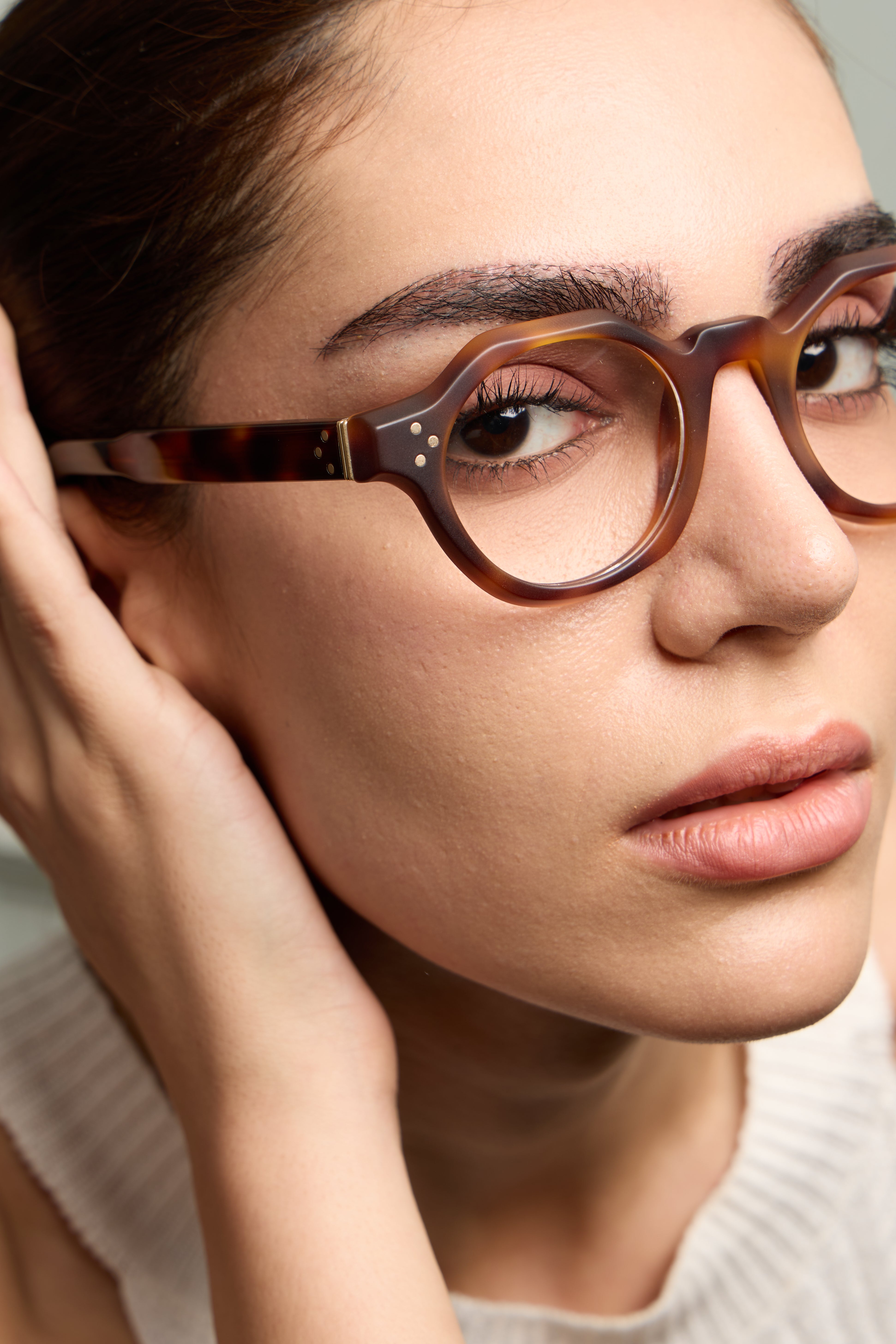 Paradise Tortoise Structura