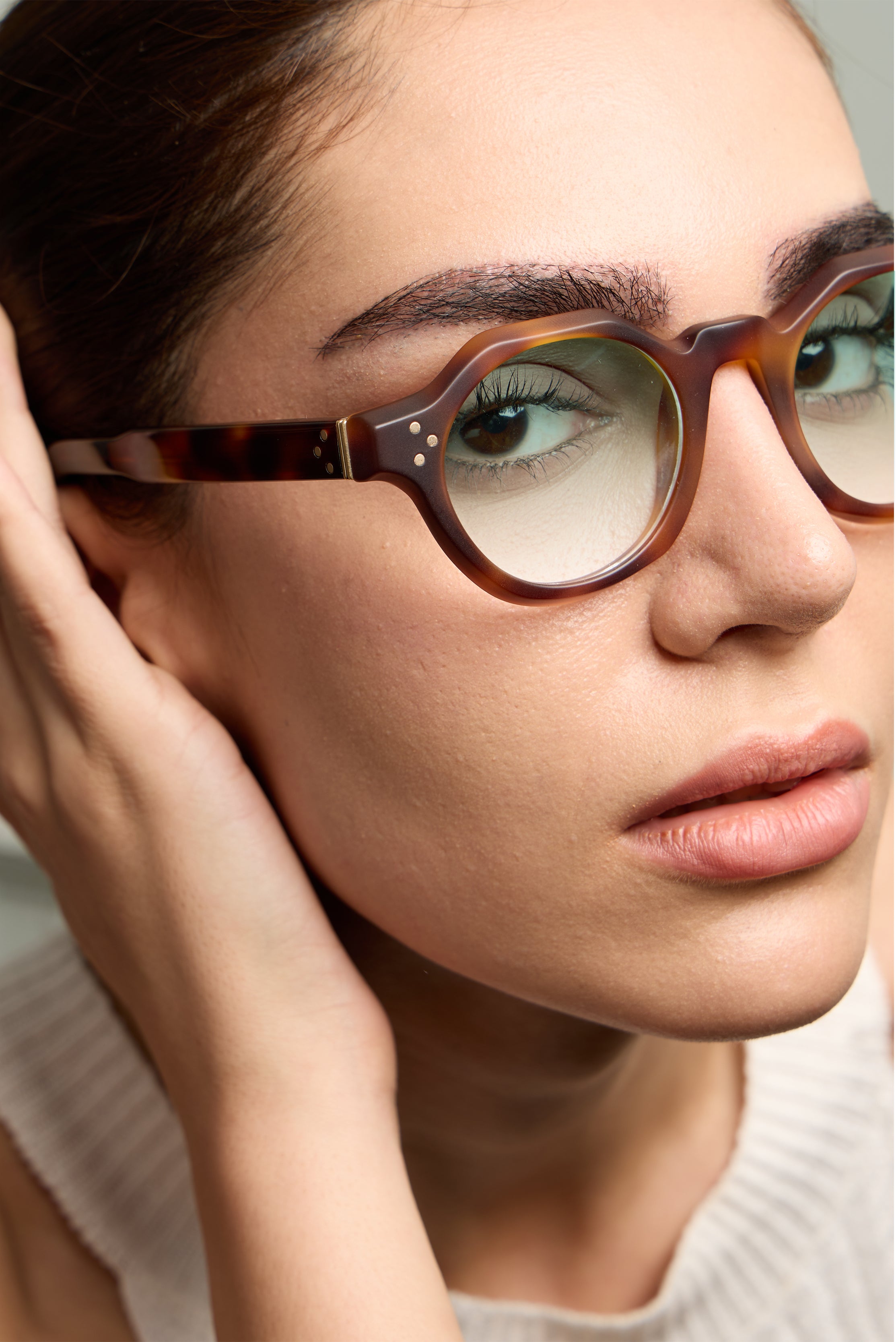 Paradise Tortoise Structura