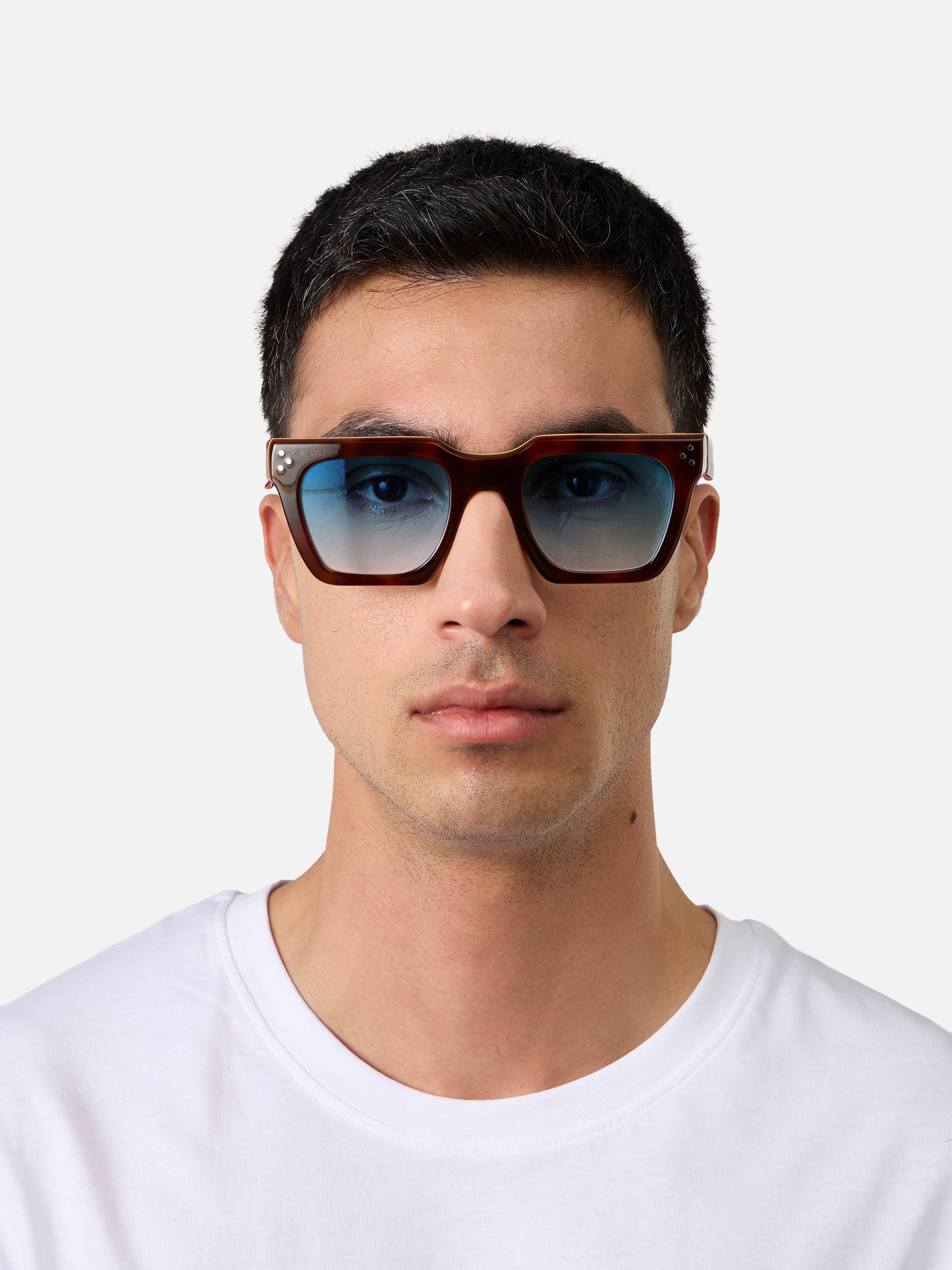 Starke Tortoise Carnival