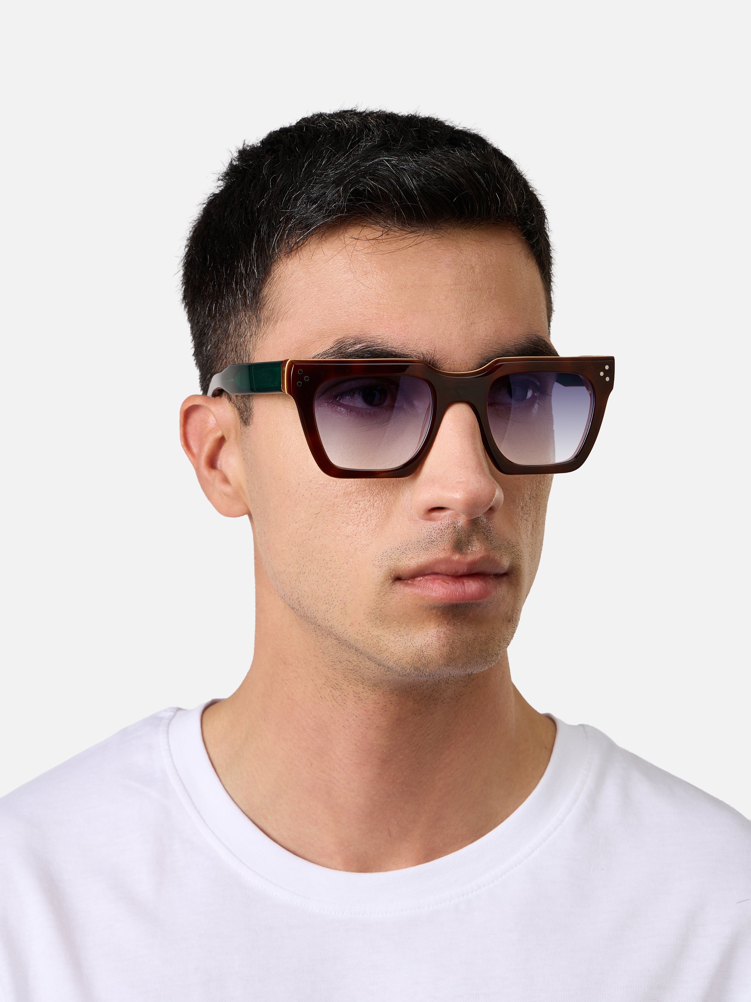 Starke Tortoise Carnival