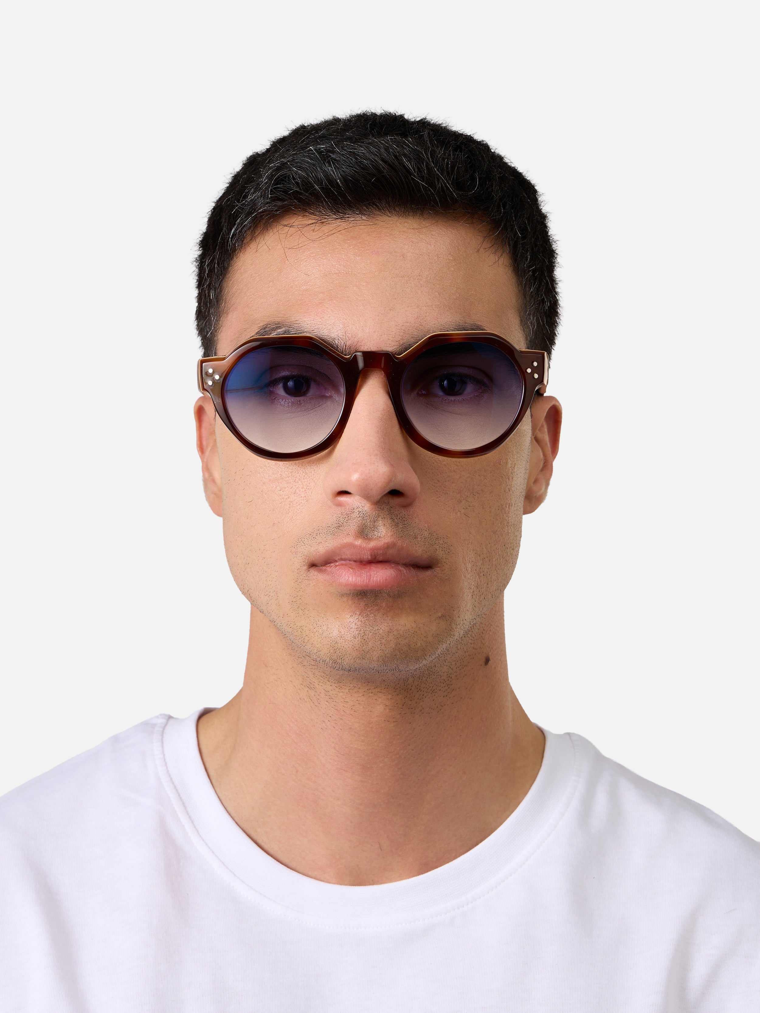 Paradise Tortoise Carnival