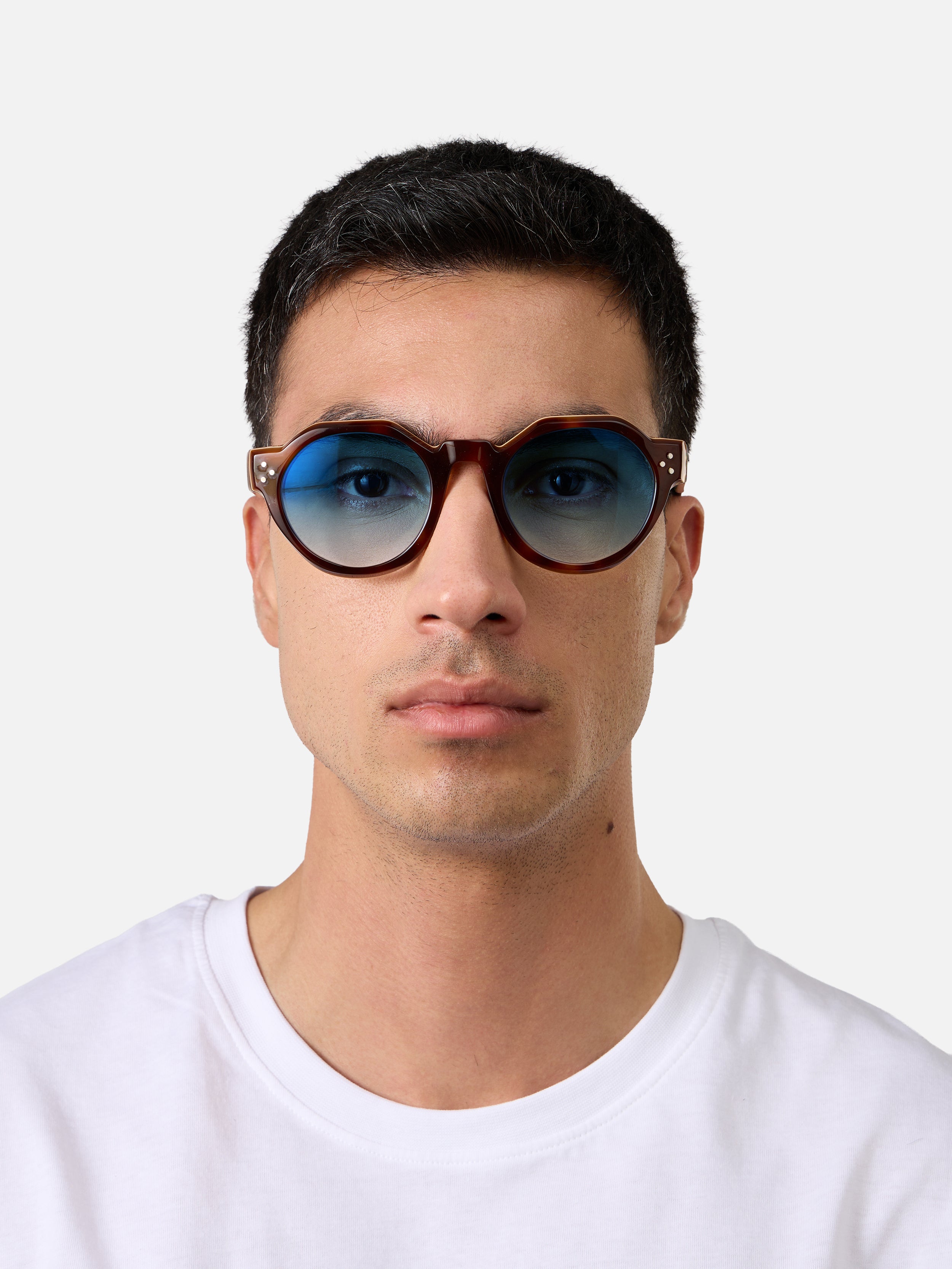 Paradise Tortoise Carnival