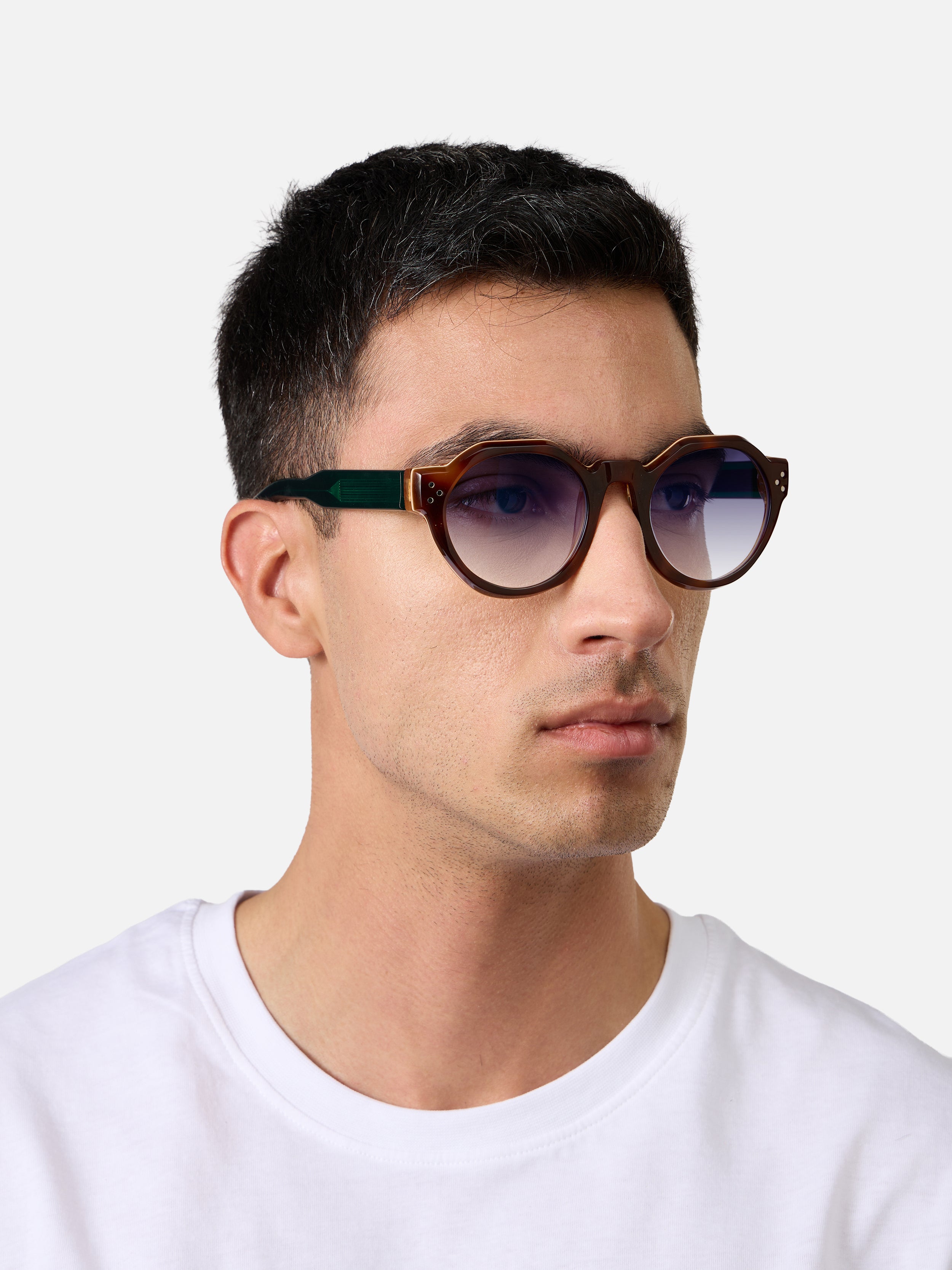 Paradise Tortoise Carnival