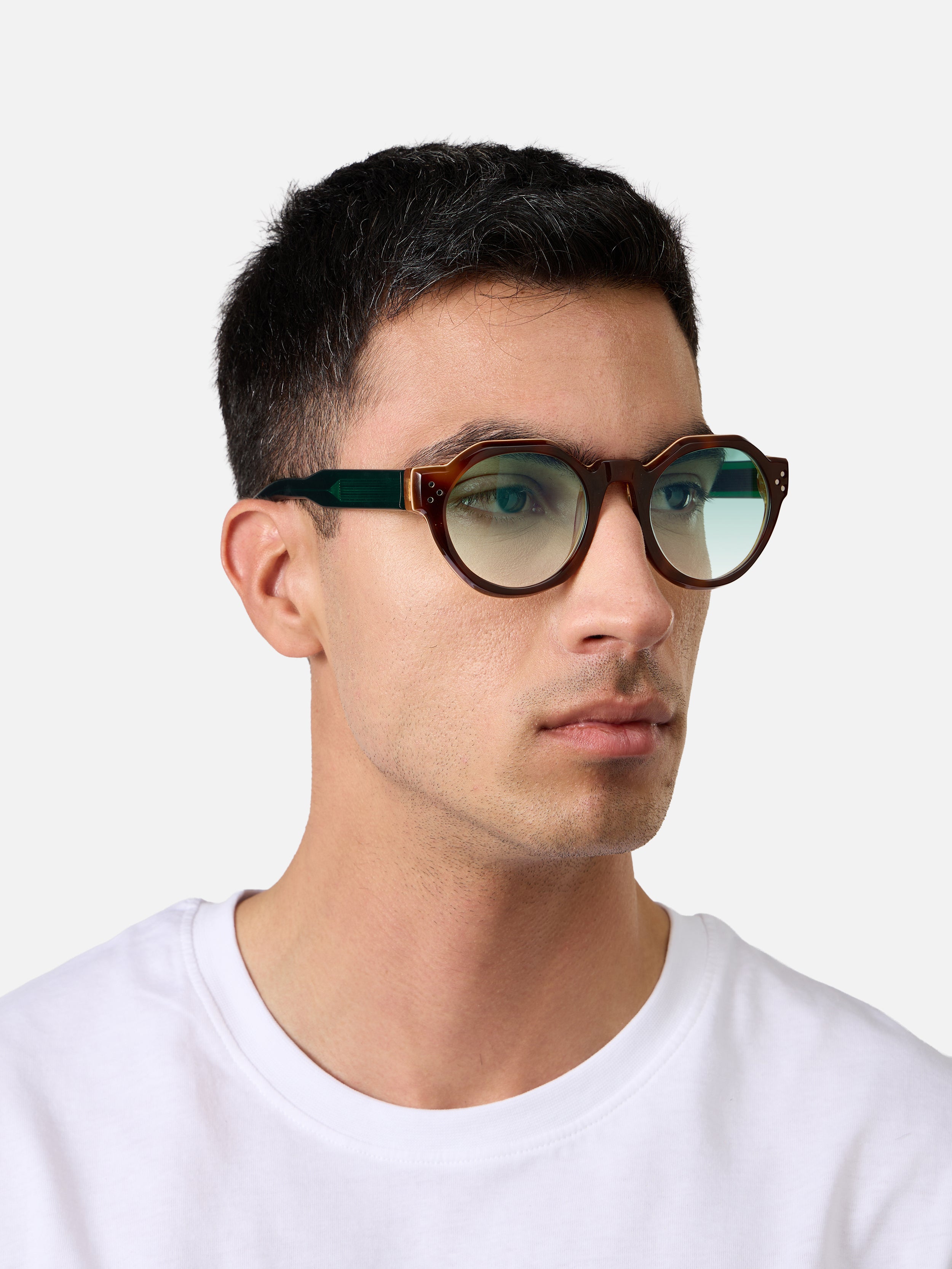 Paradise Tortoise Carnival