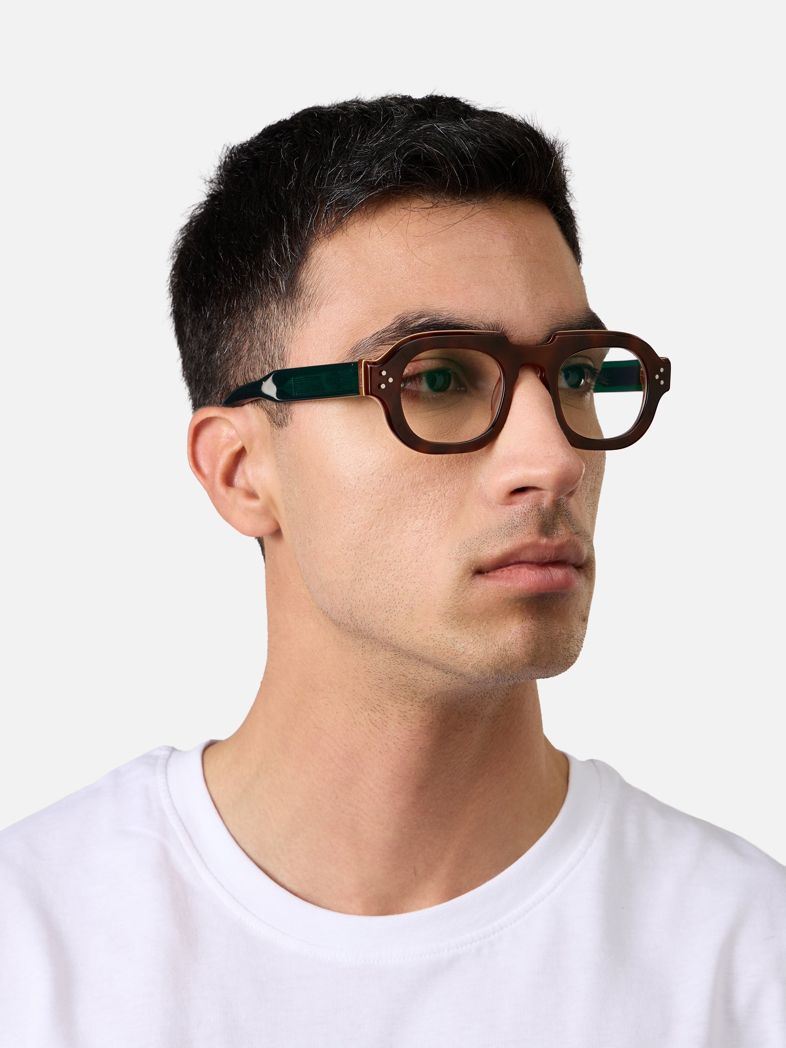 Hermann Tortoise Lam Emerald Green