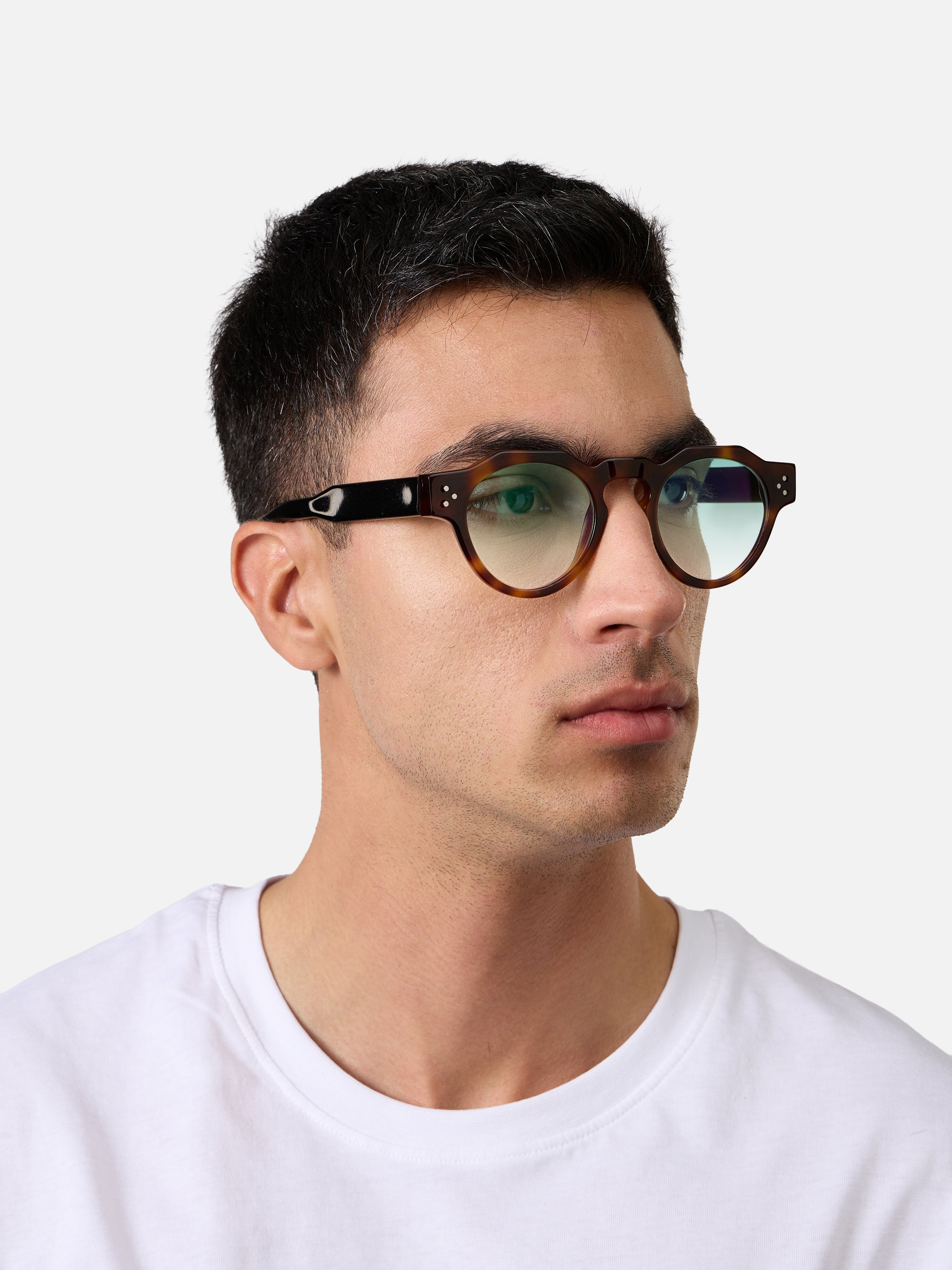 Panto Tortoise black