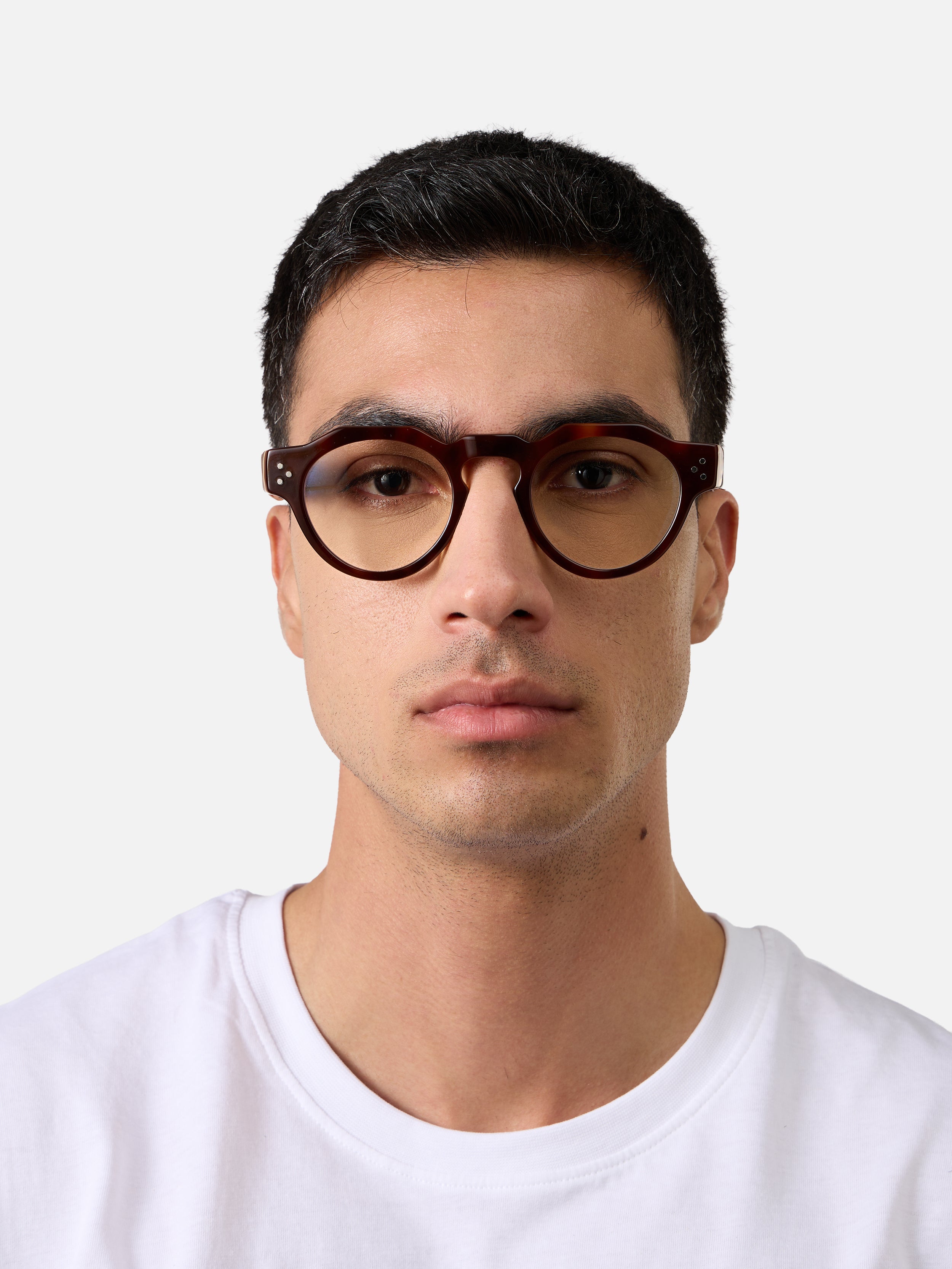 Panto Tortoise Carnival