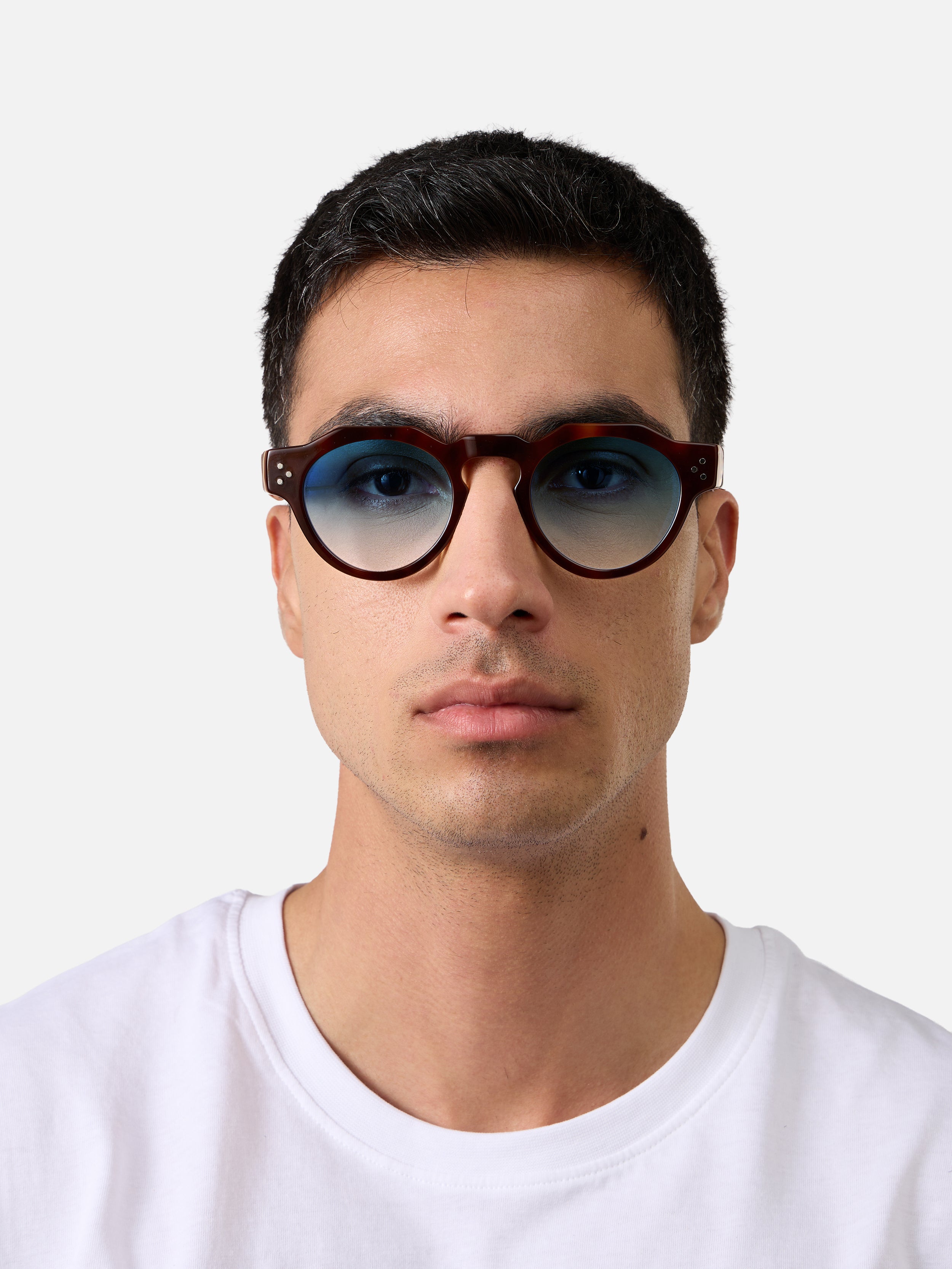 Panto Tortoise Carnival