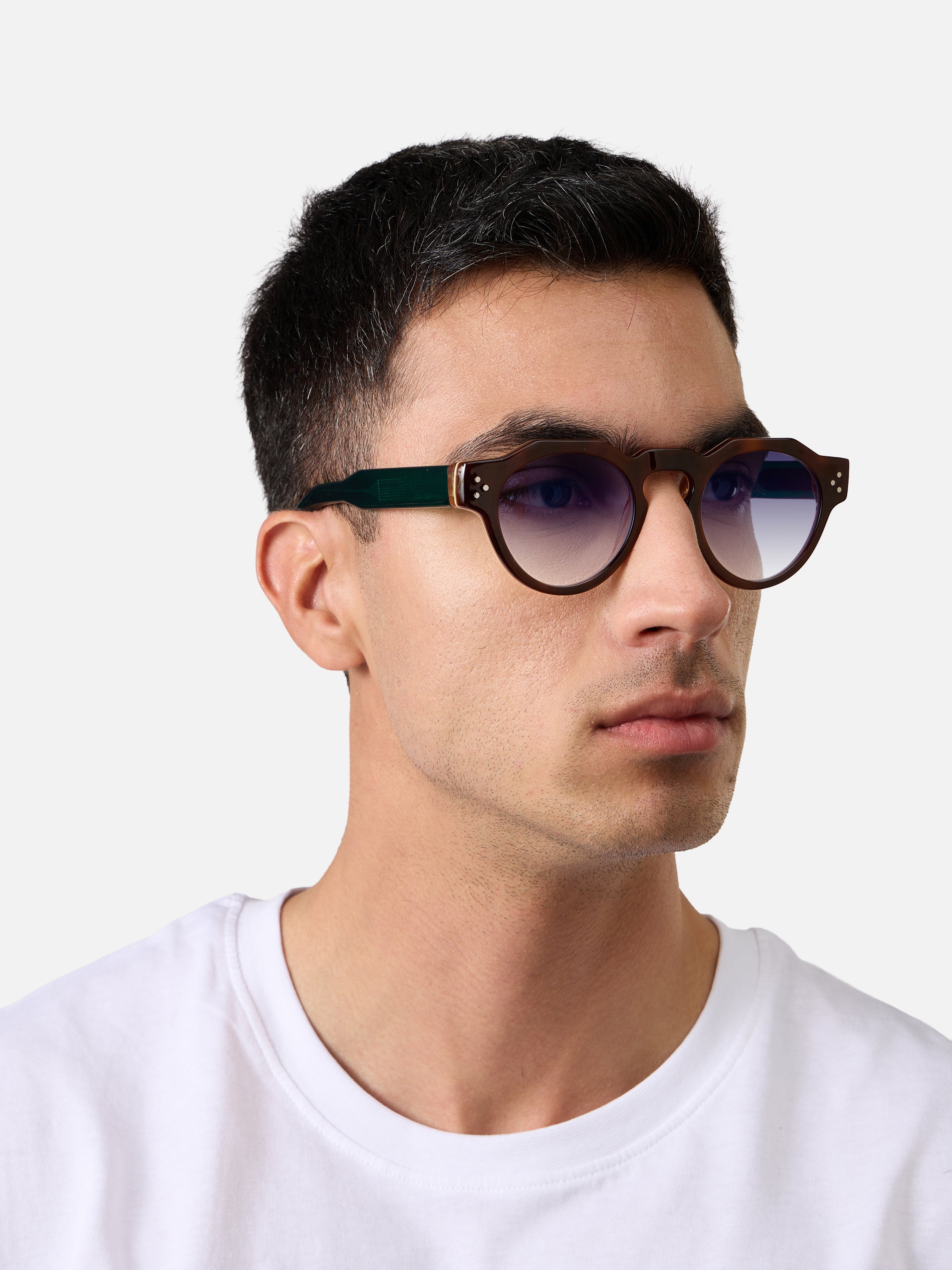 Panto Tortoise Carnival