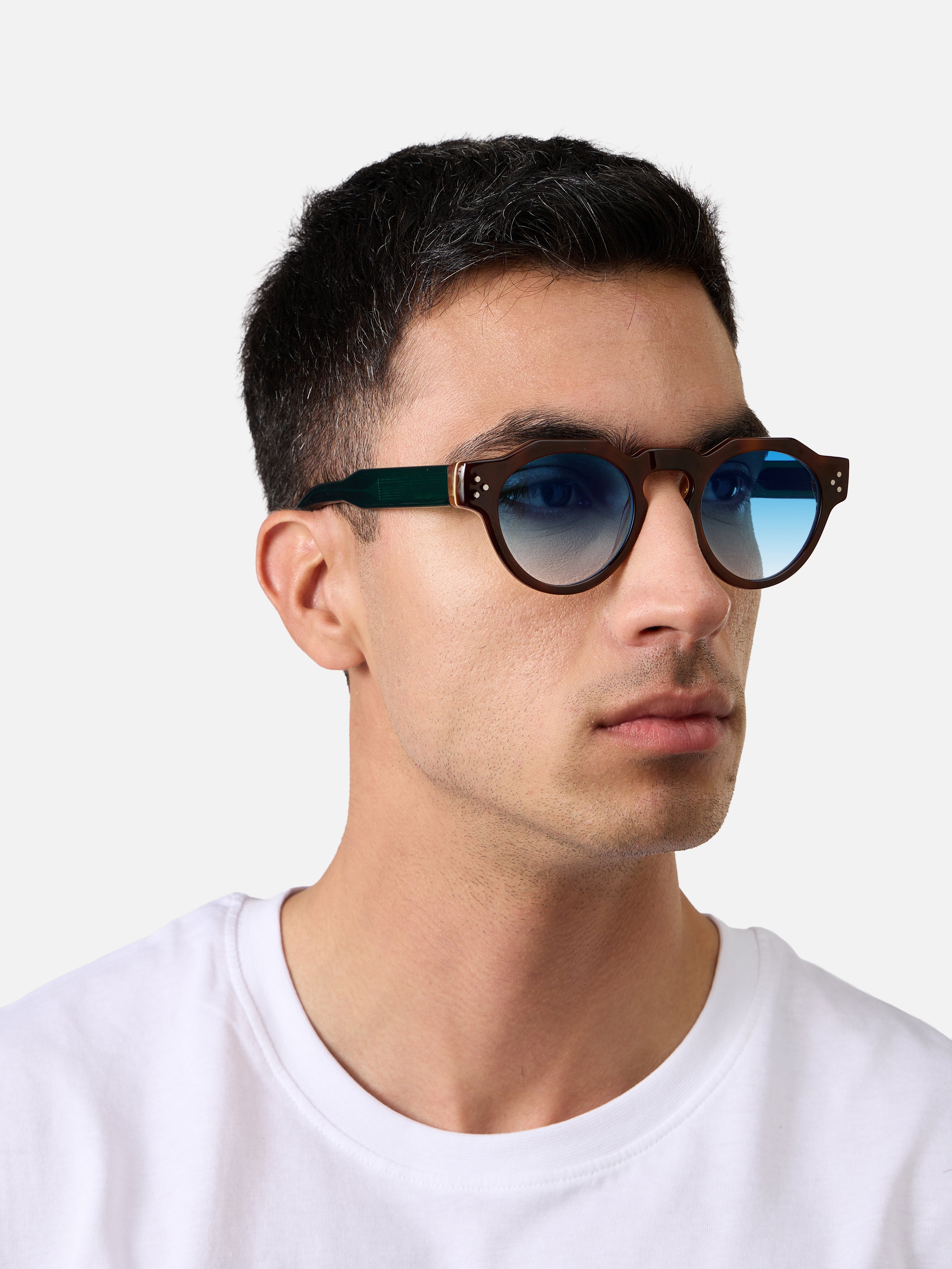 Panto Tortoise Carnival