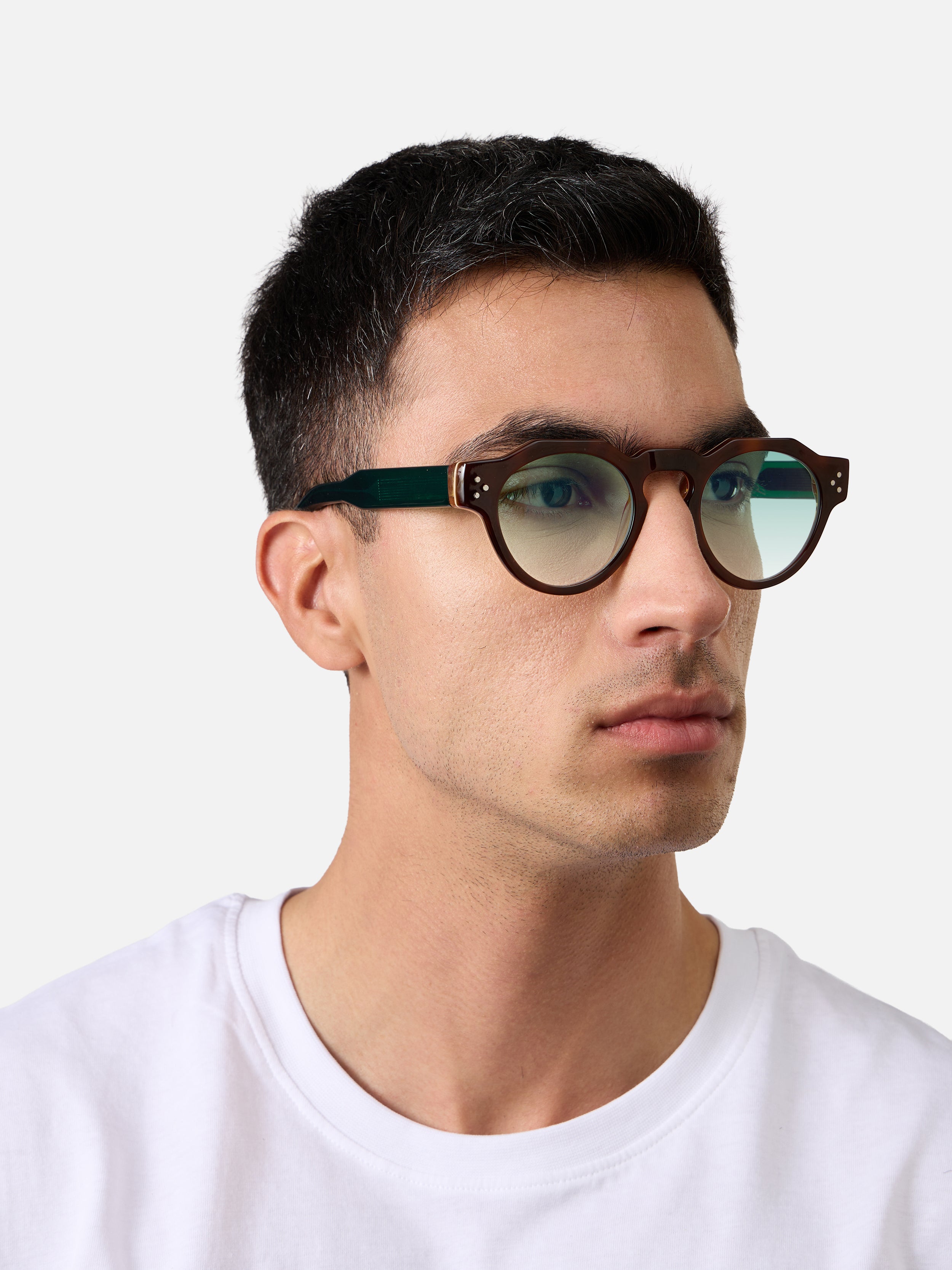 Panto Tortoise Carnival