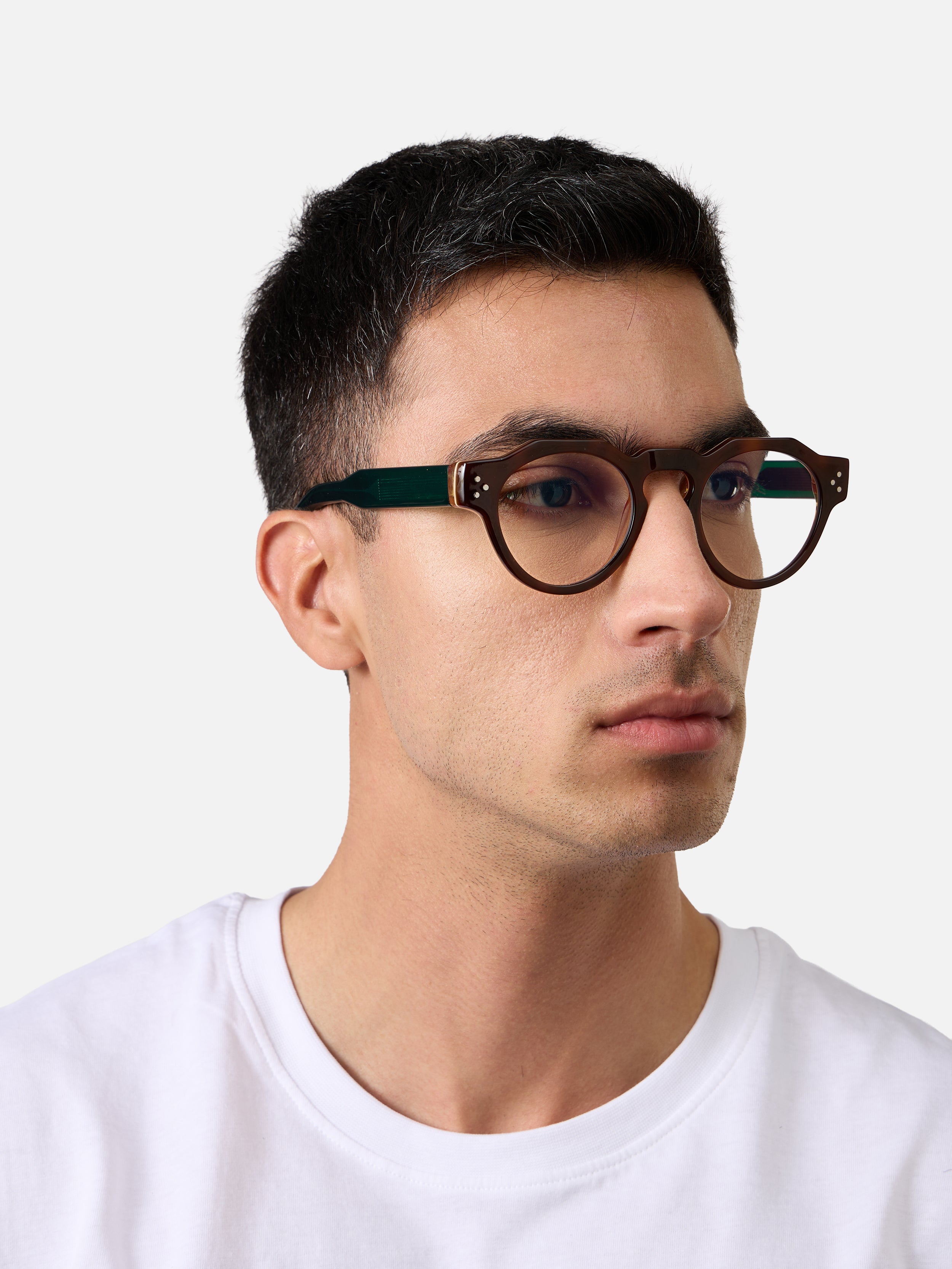 Panto Tortoise Carnival