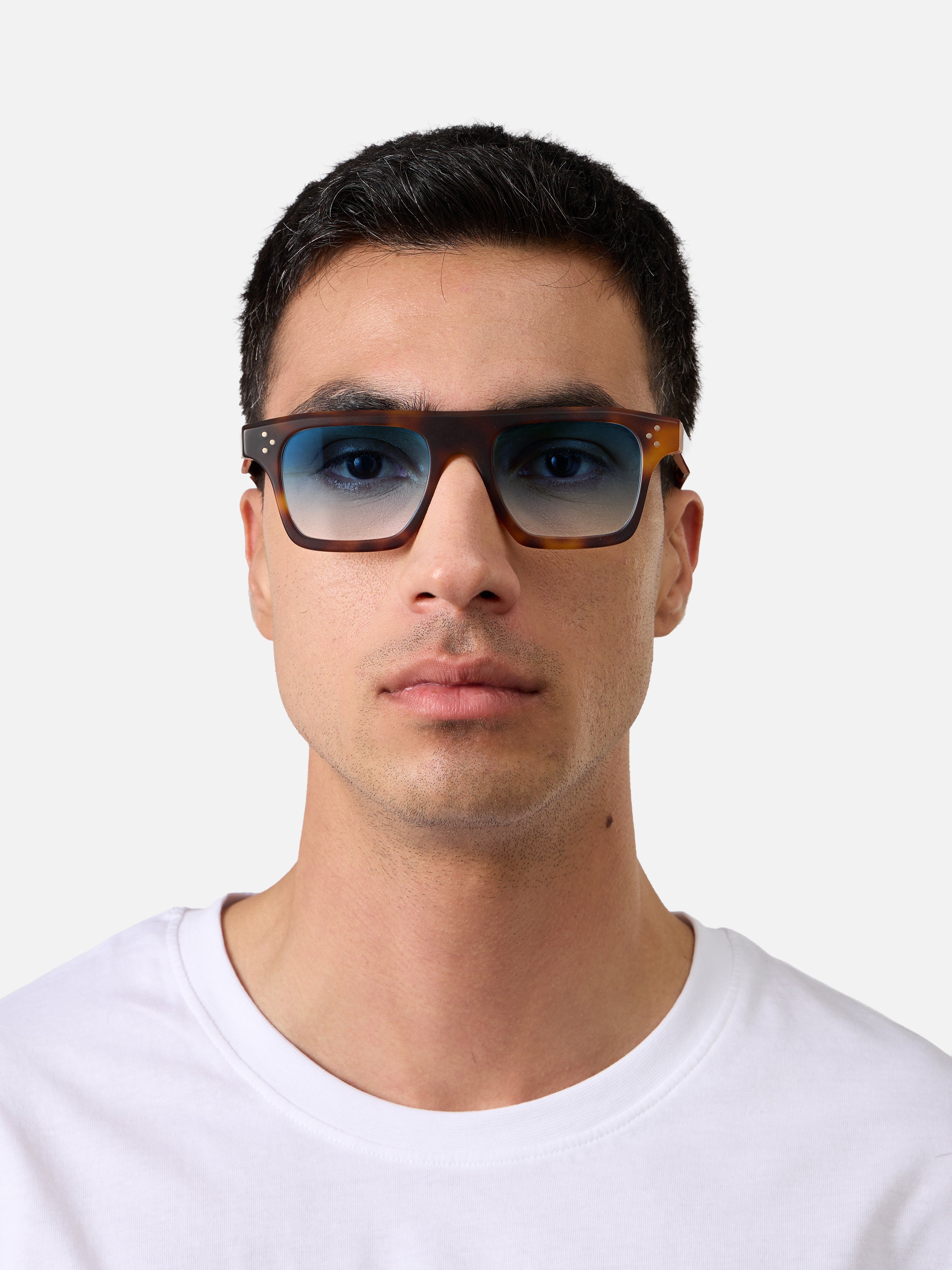 Suri Tortoise Structura