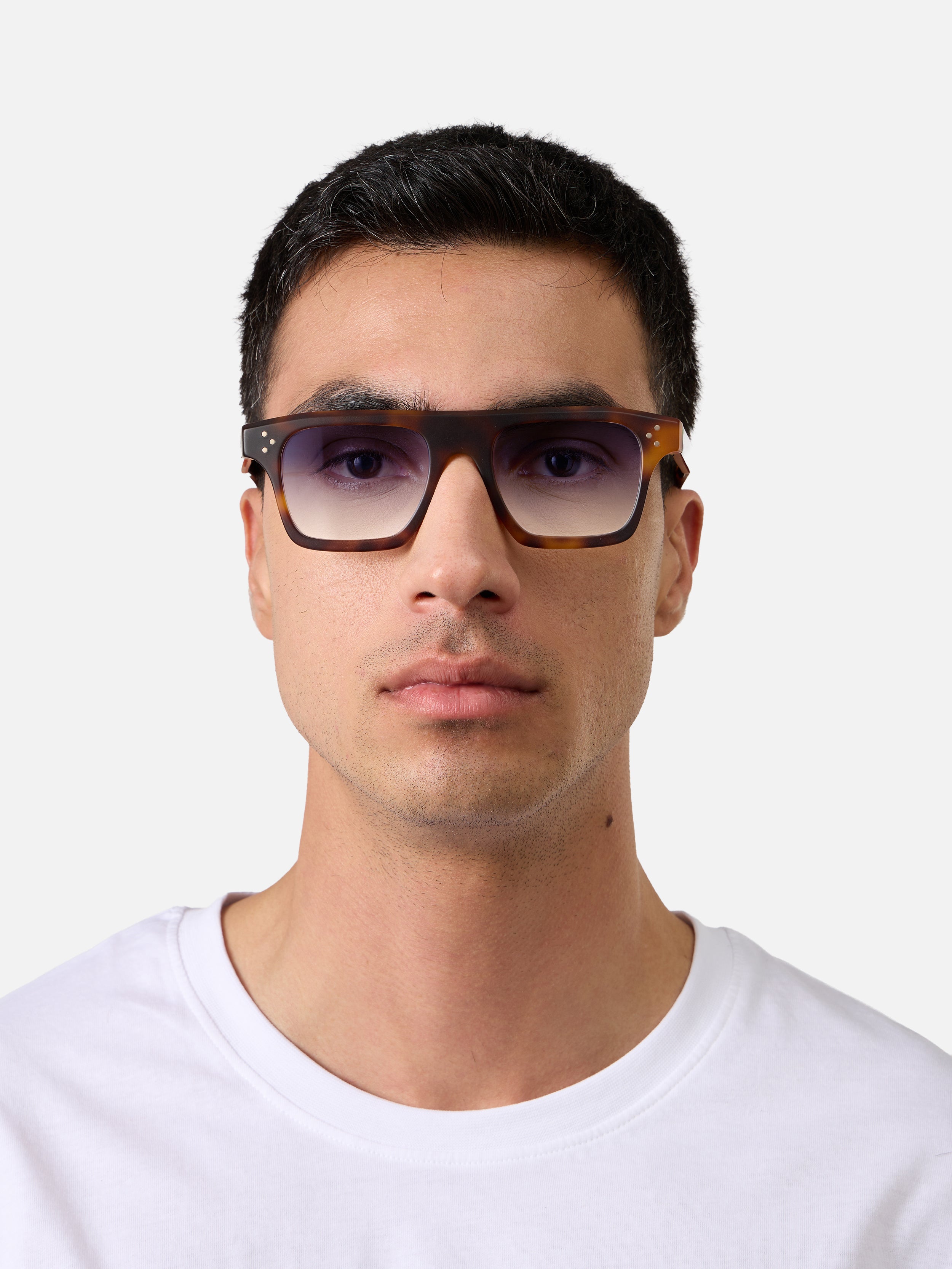 Suri Tortoise Structura