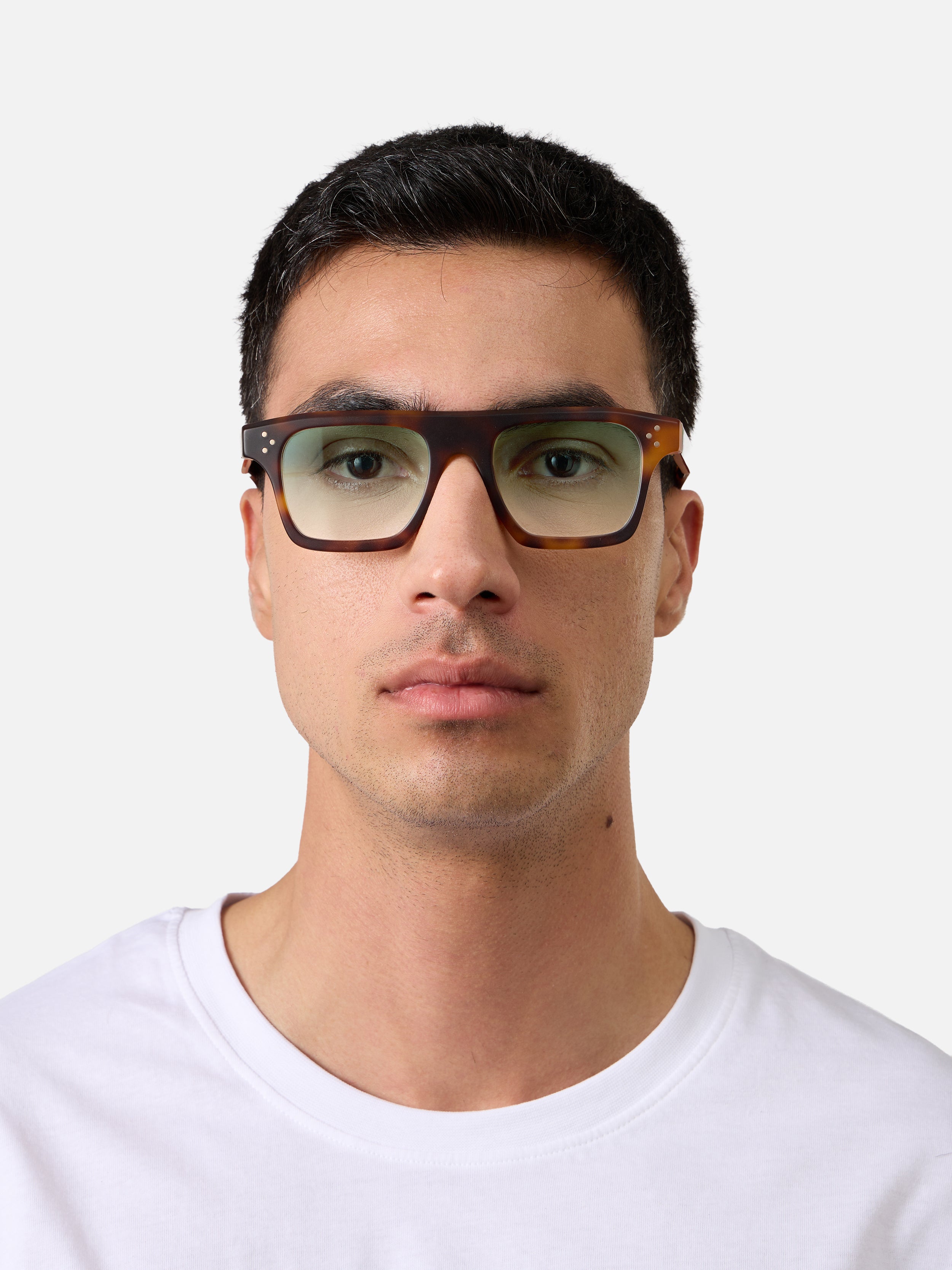 Suri Tortoise Structura