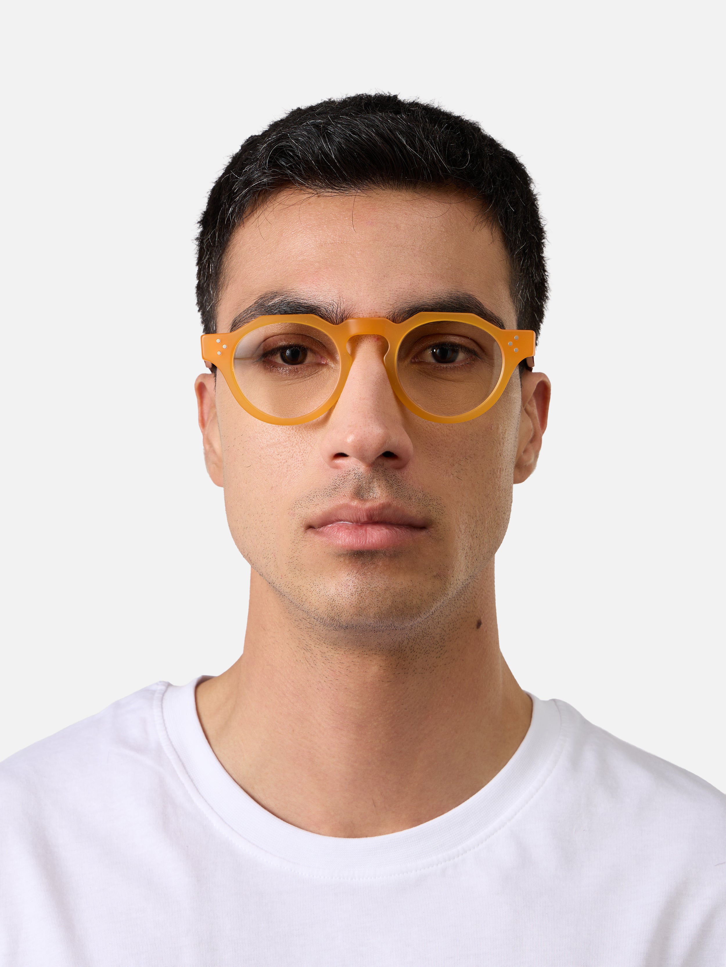 Panto Honey Structura