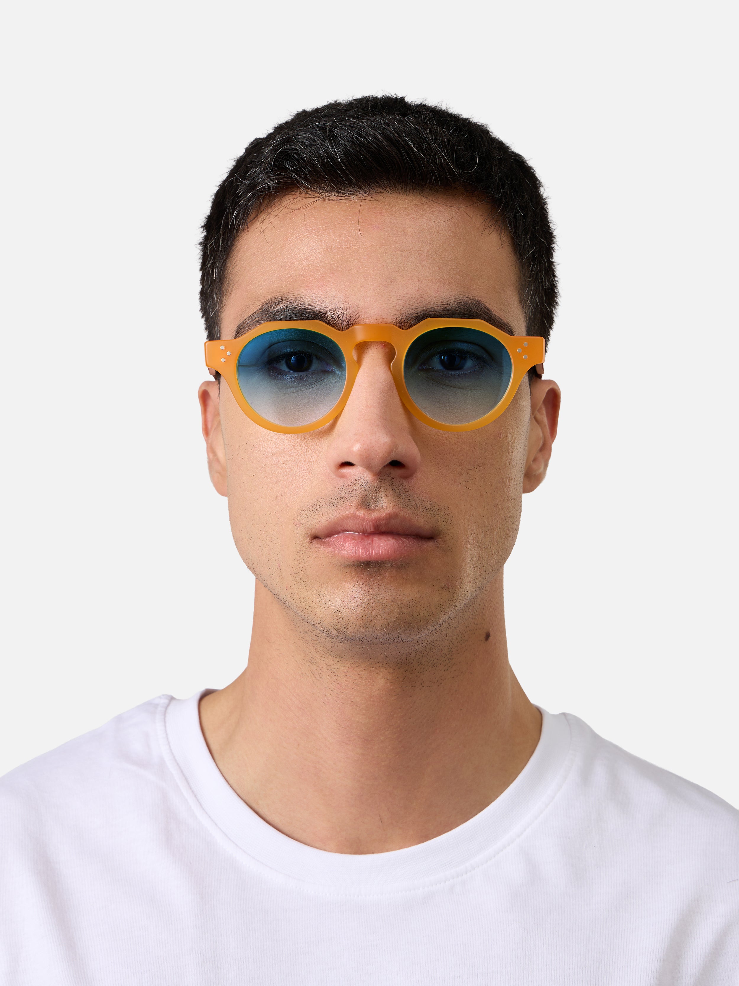 Panto Honey Structura