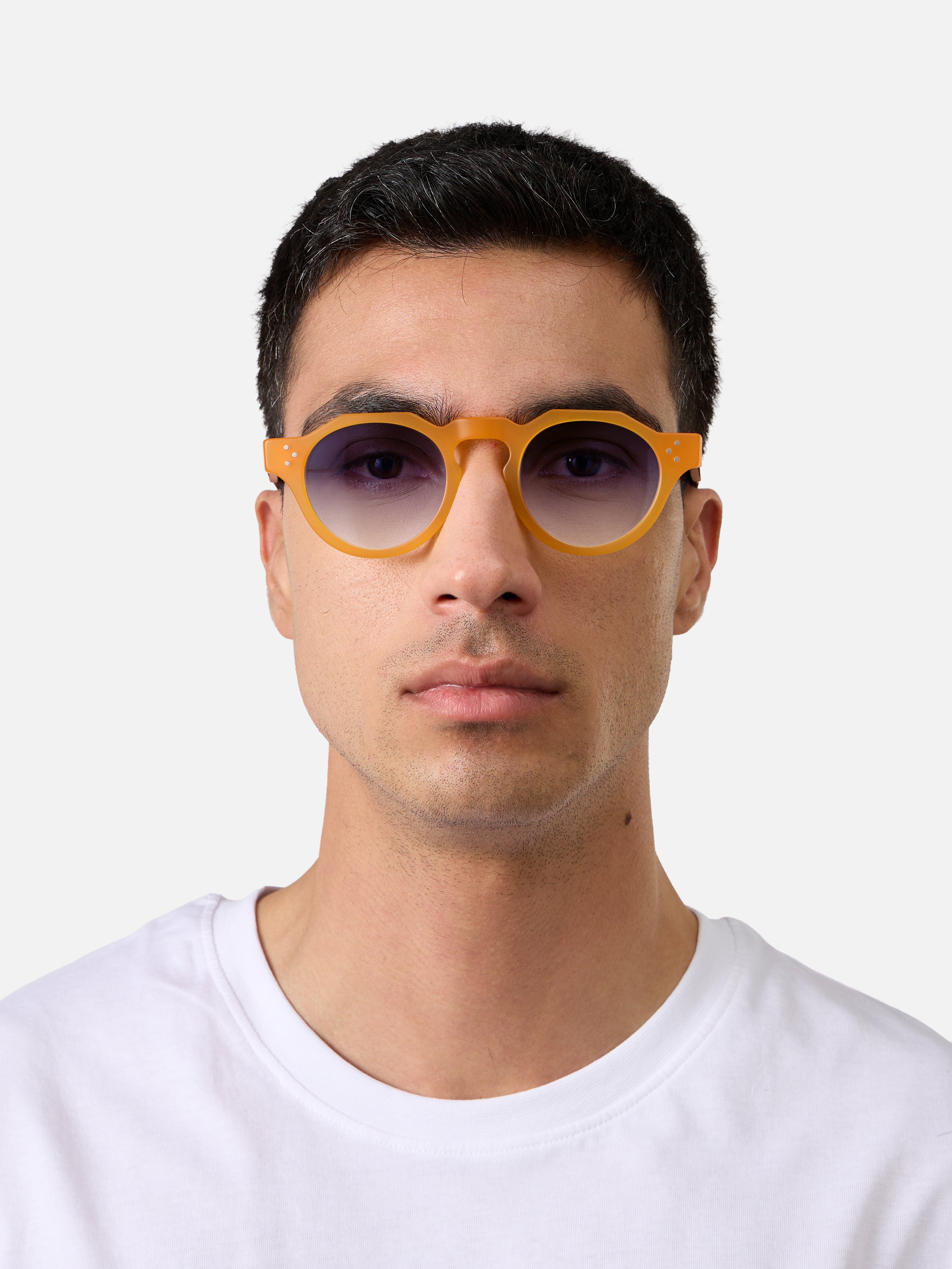 Panto Honey Structura