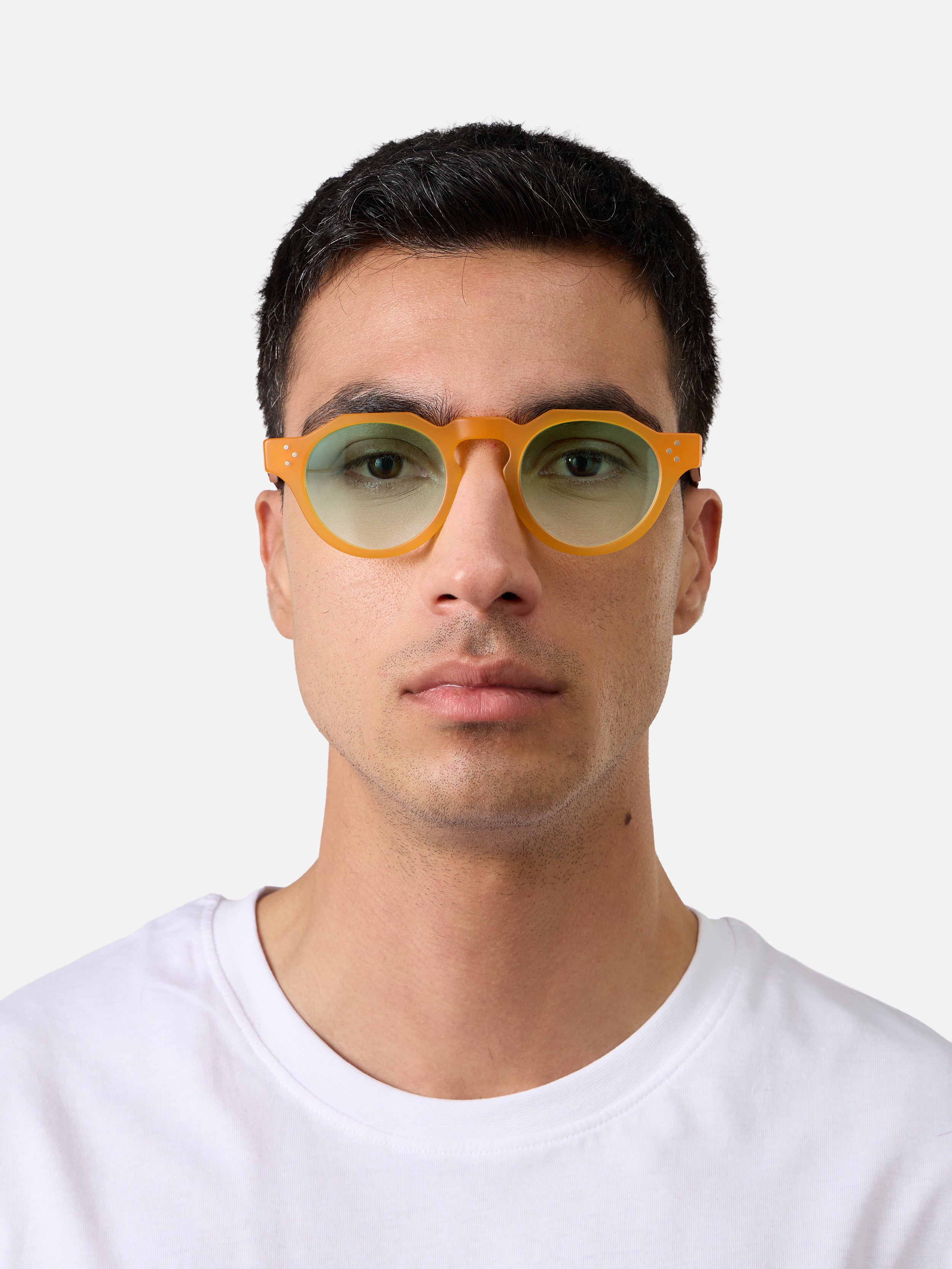 Panto Honey Structura