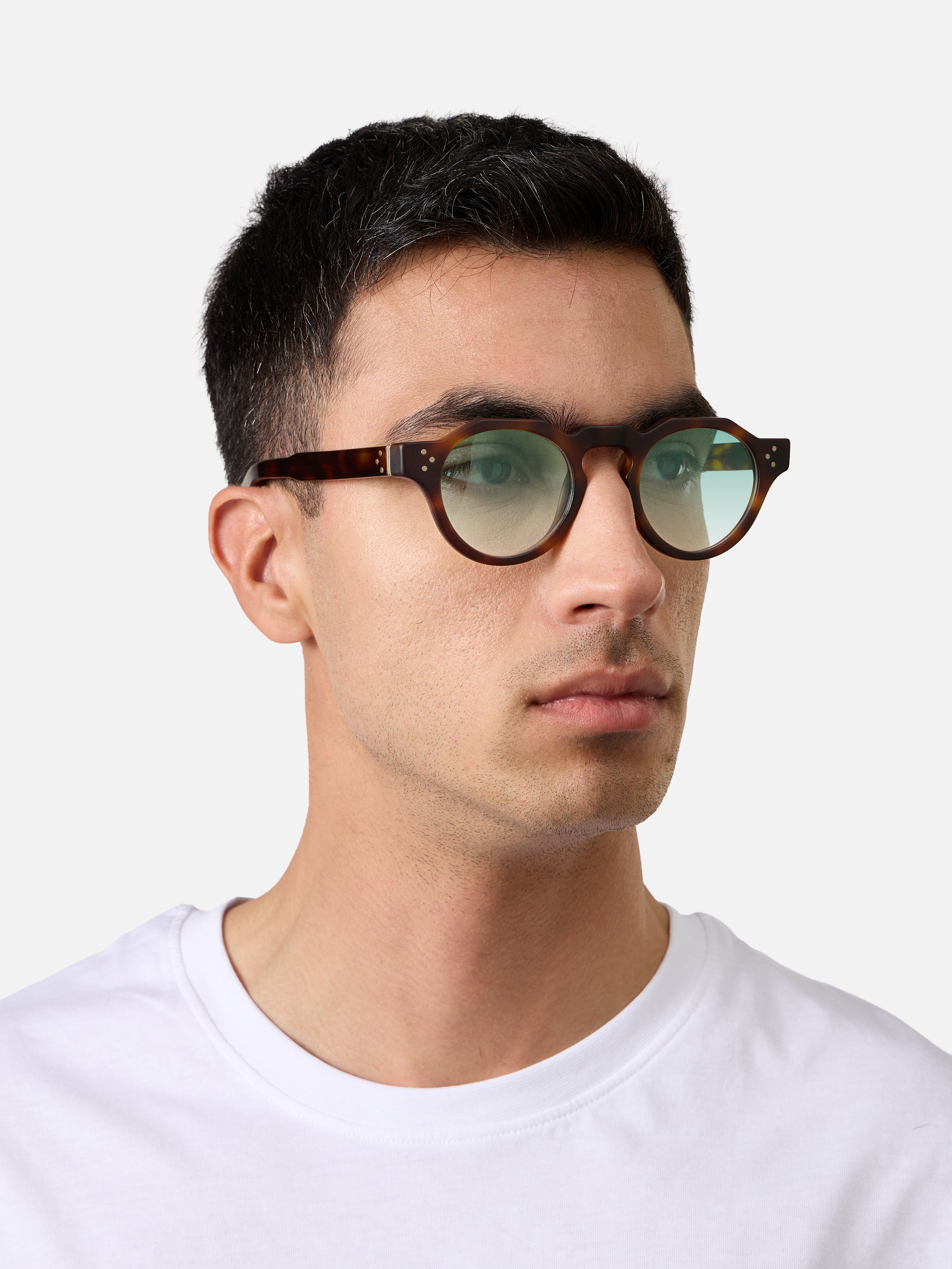 Panto Tortoise Structura