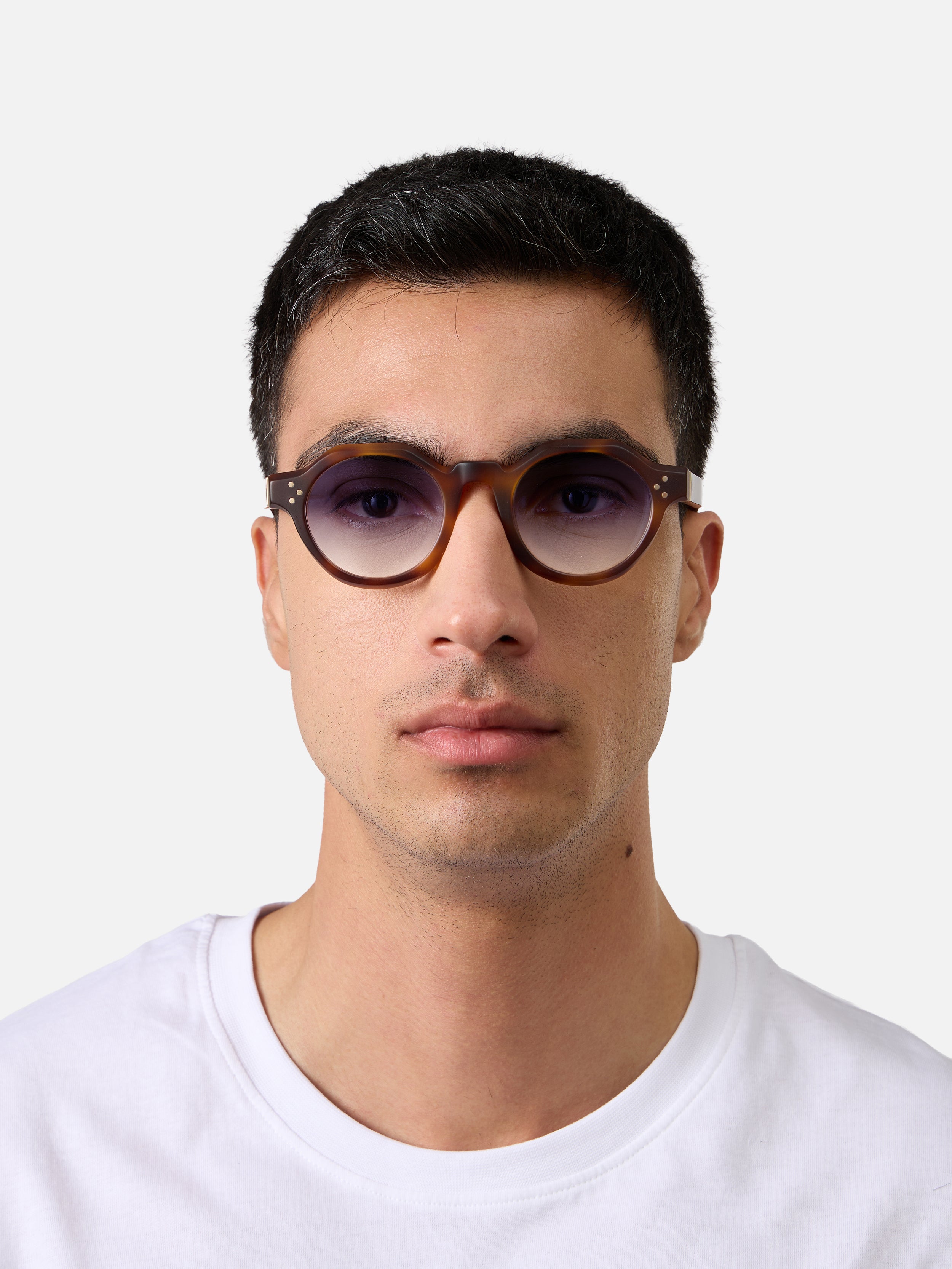 Paradise Tortoise Structura