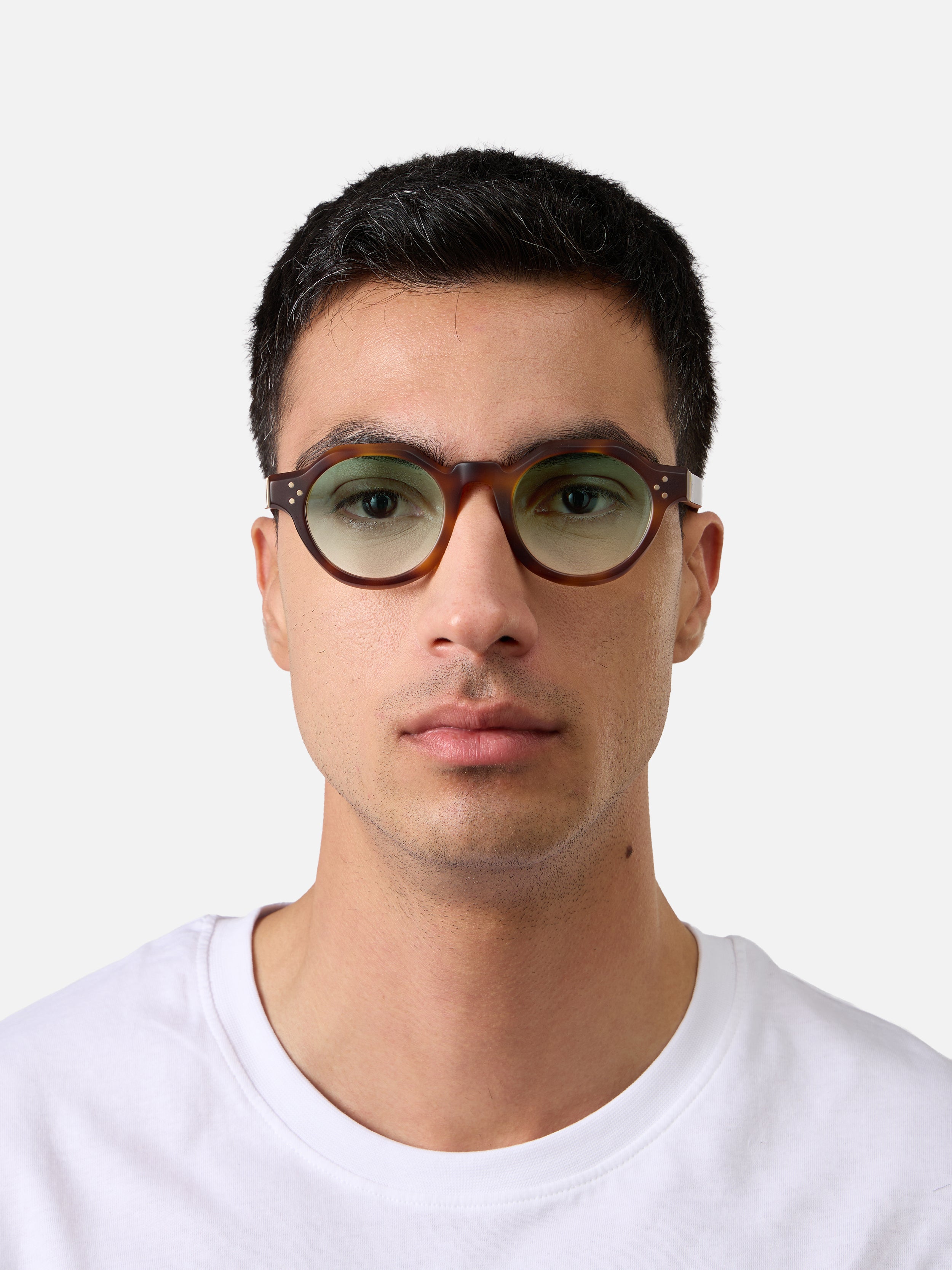 Paradise Tortoise Structura