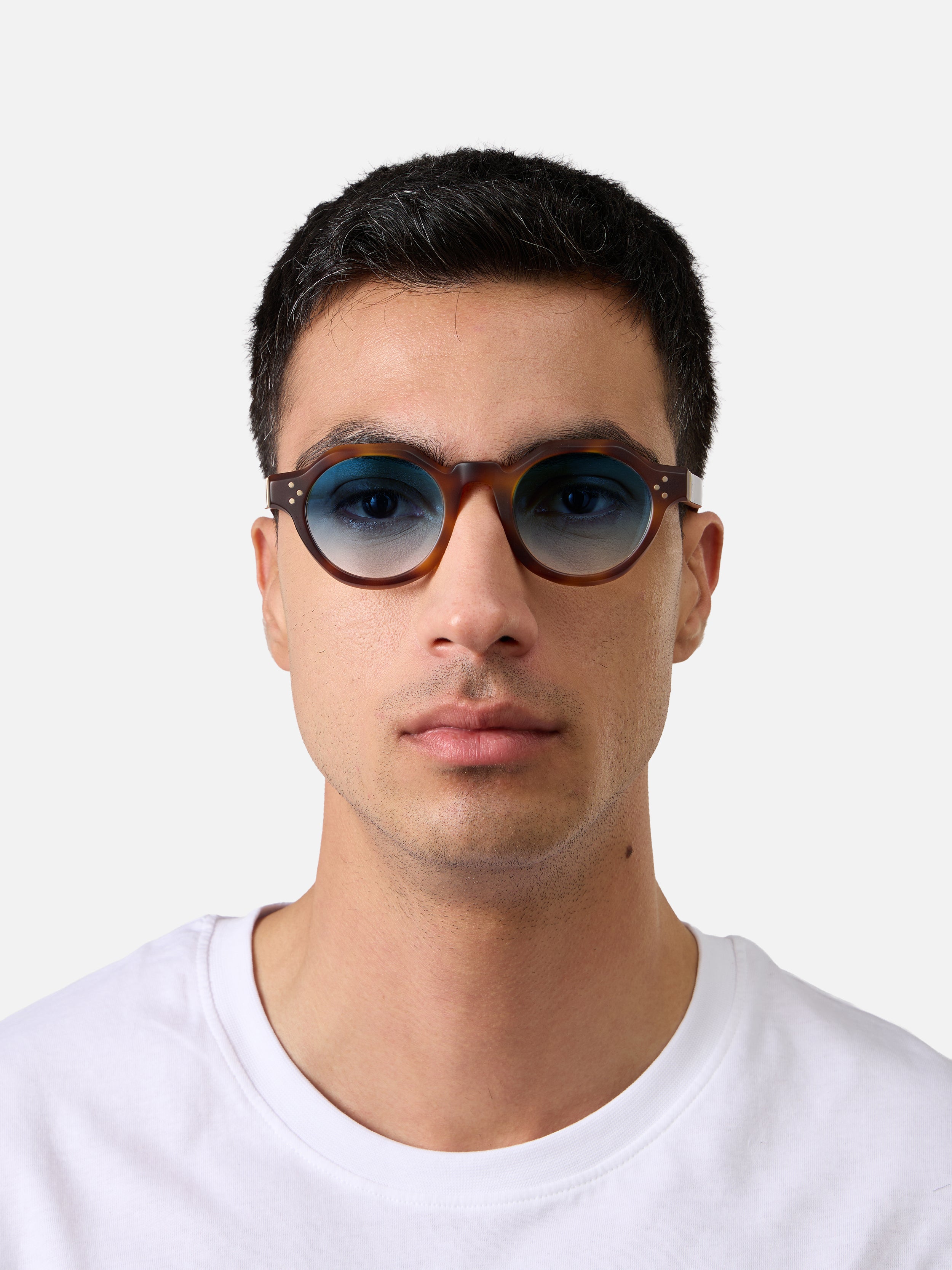 Paradise Tortoise Structura