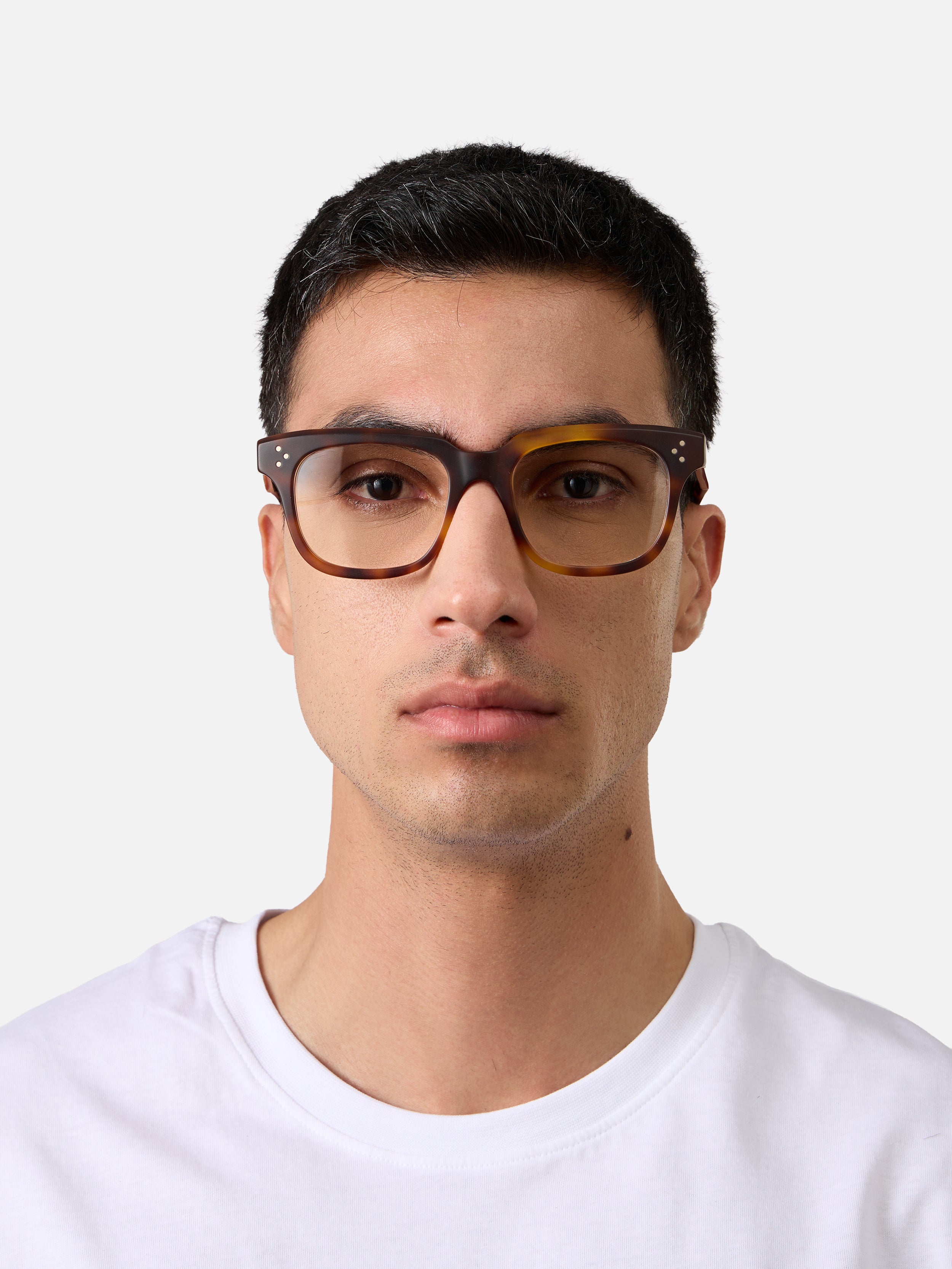 Marken Tortoise Lam Structura