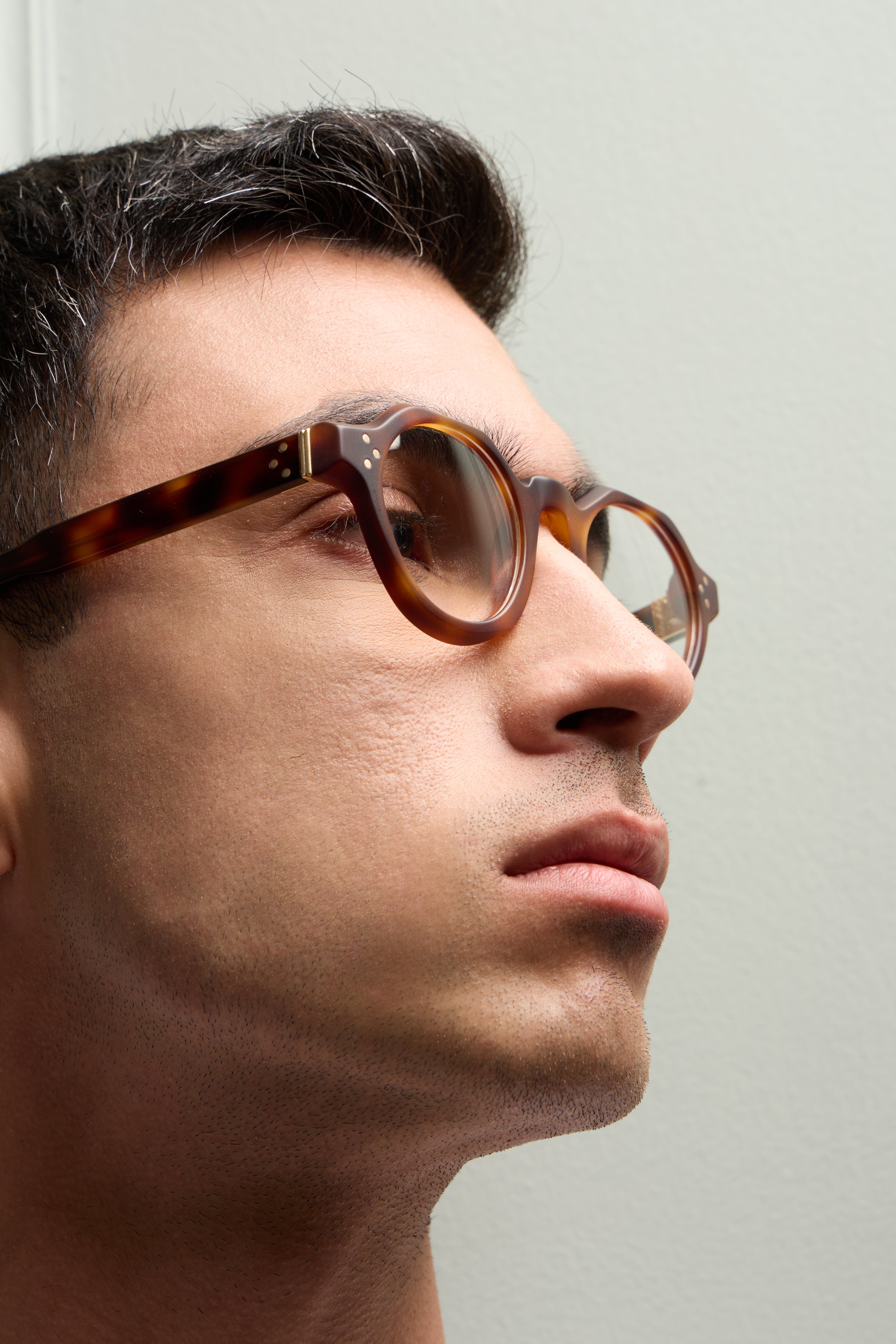 Paradise Tortoise Structura