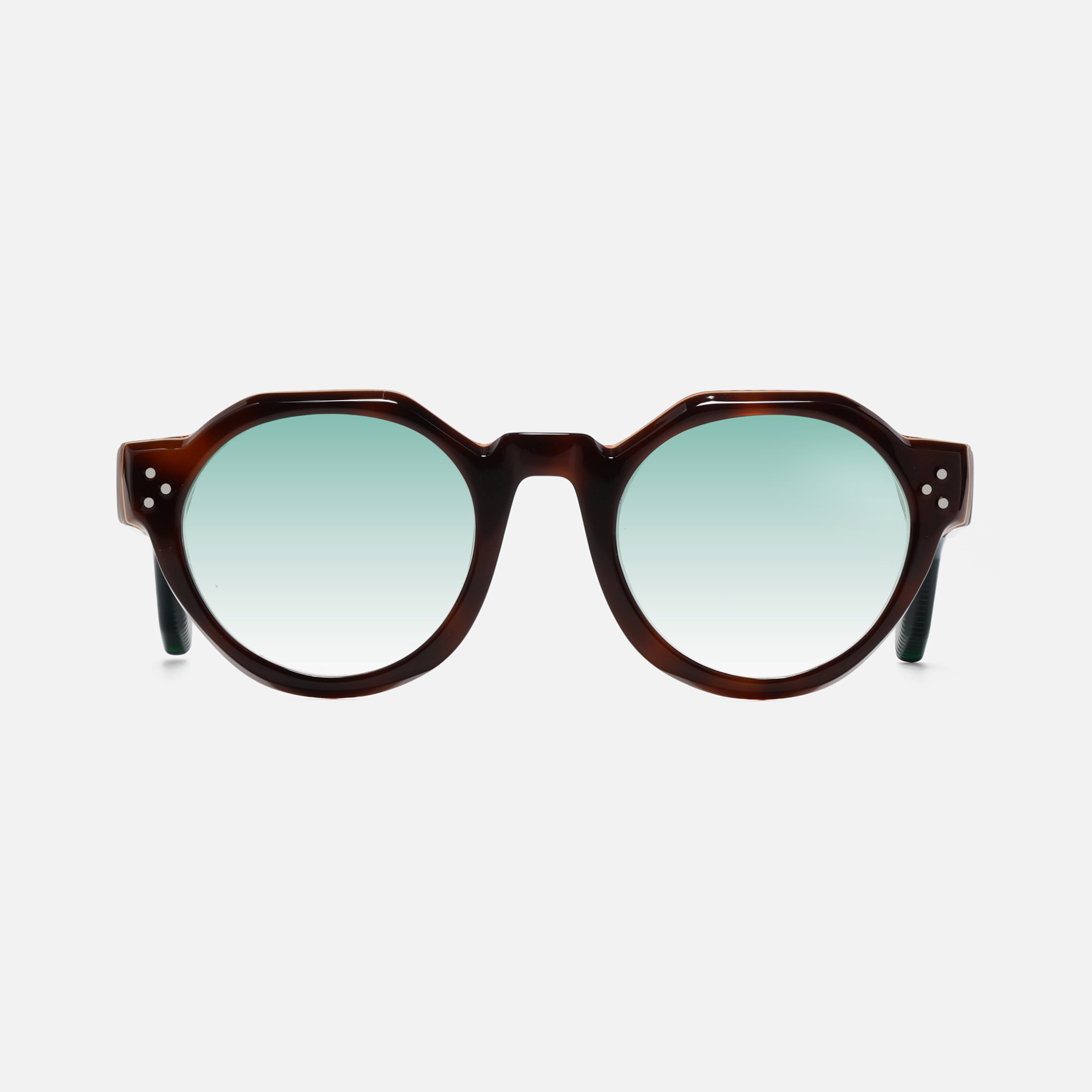 Paradise Tortoise Carnival