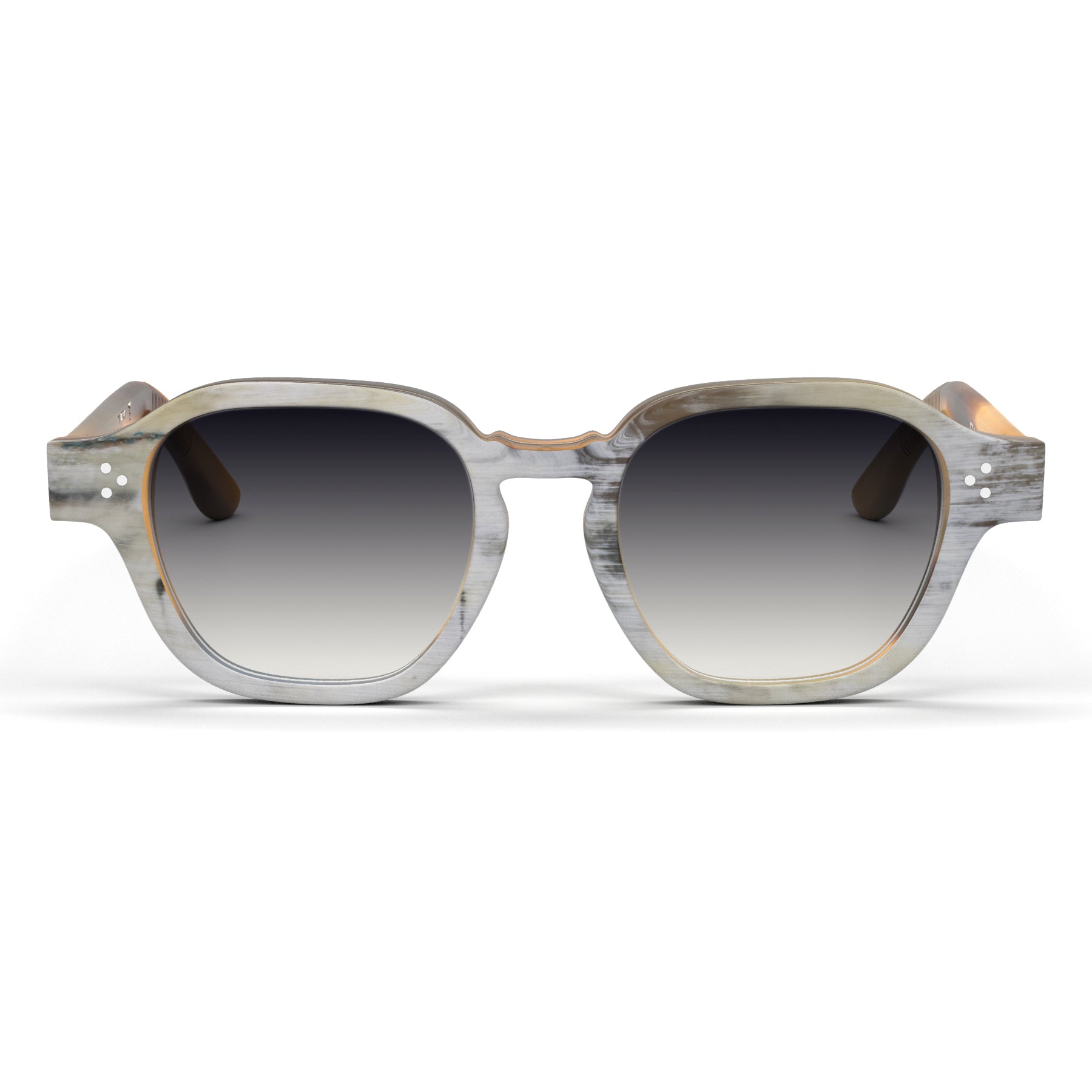 Haarlem Horn Sunglasses