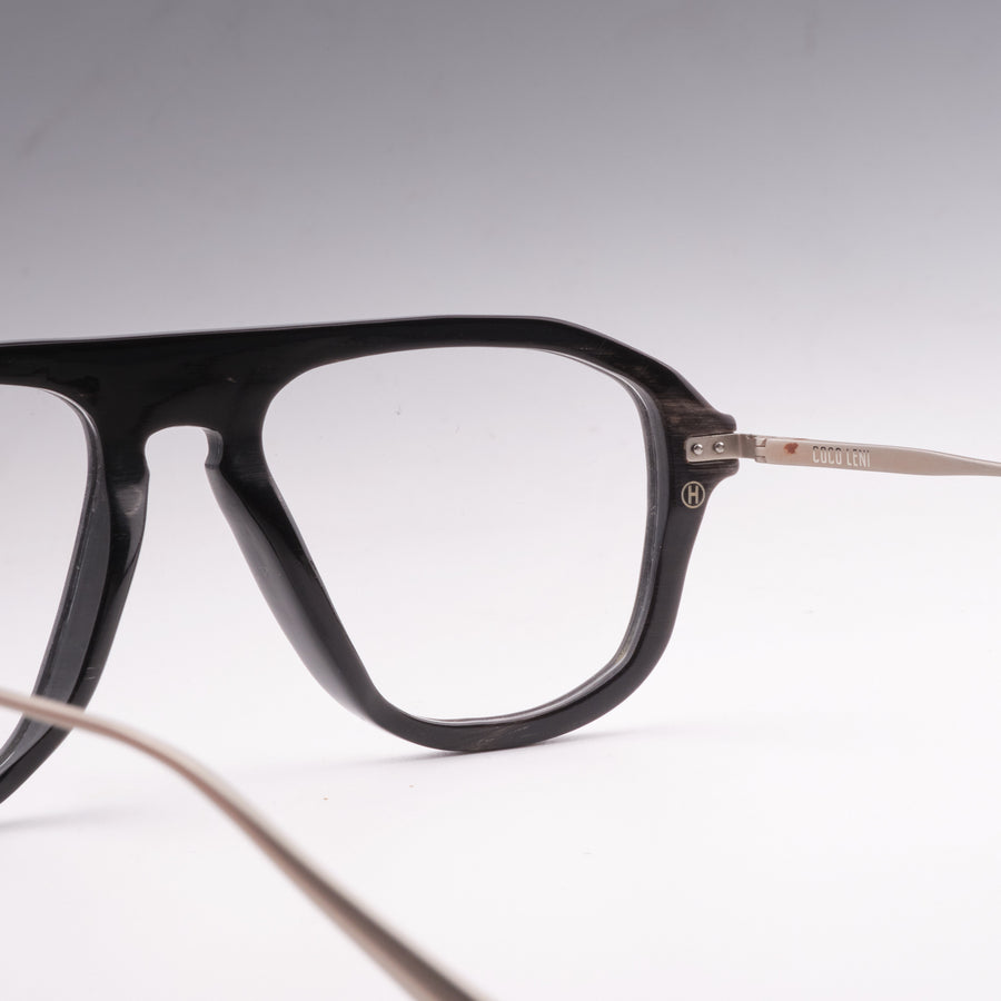 Akhal Horn & Silver close-up 2