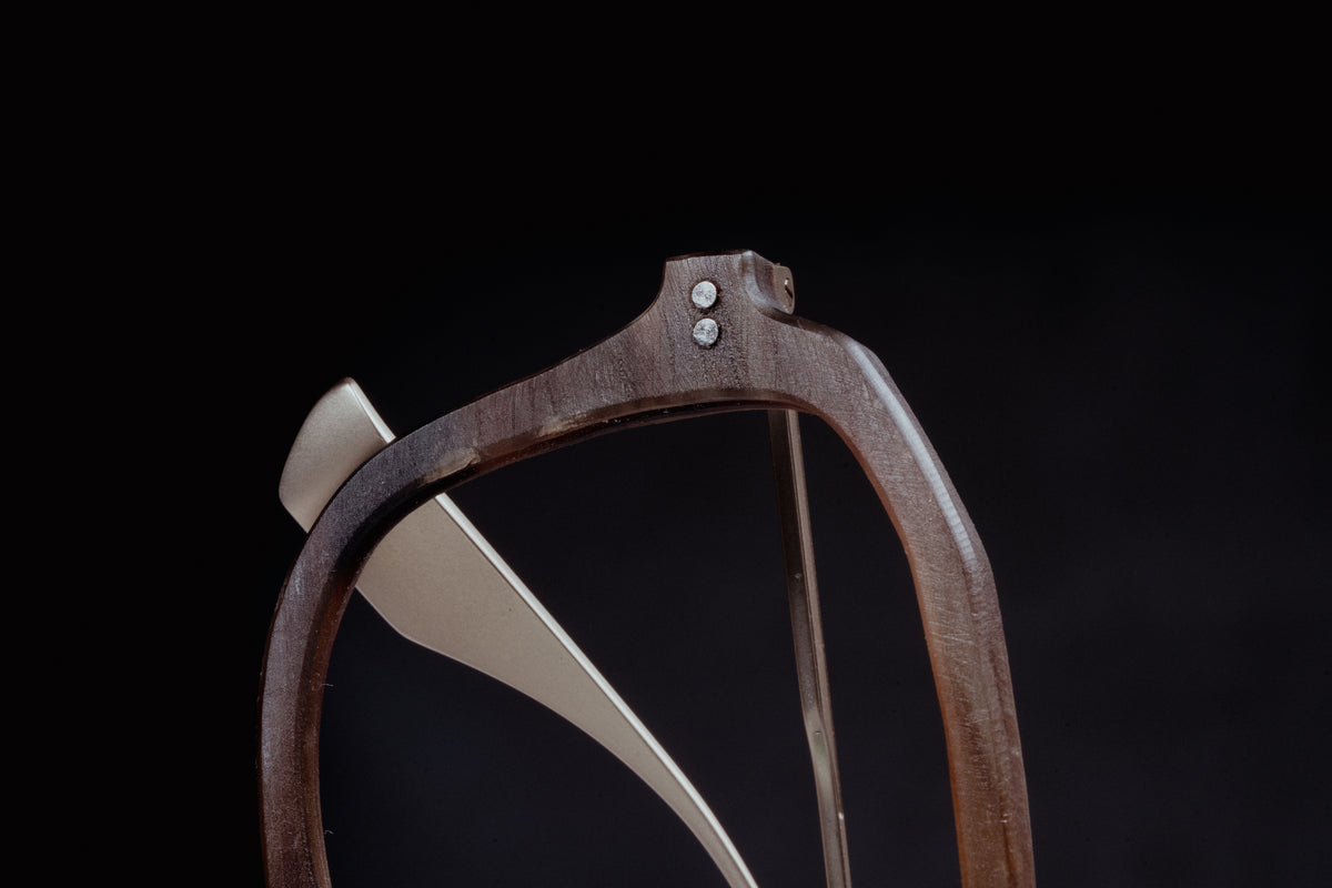 Akhal Horn close-up 1