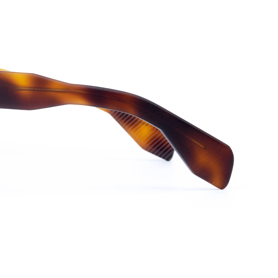 Starke Tortoise Matte close-up 3