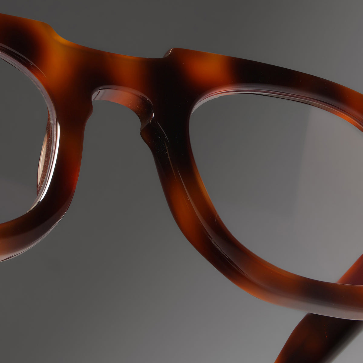 Hermann Tortoise close-up 1